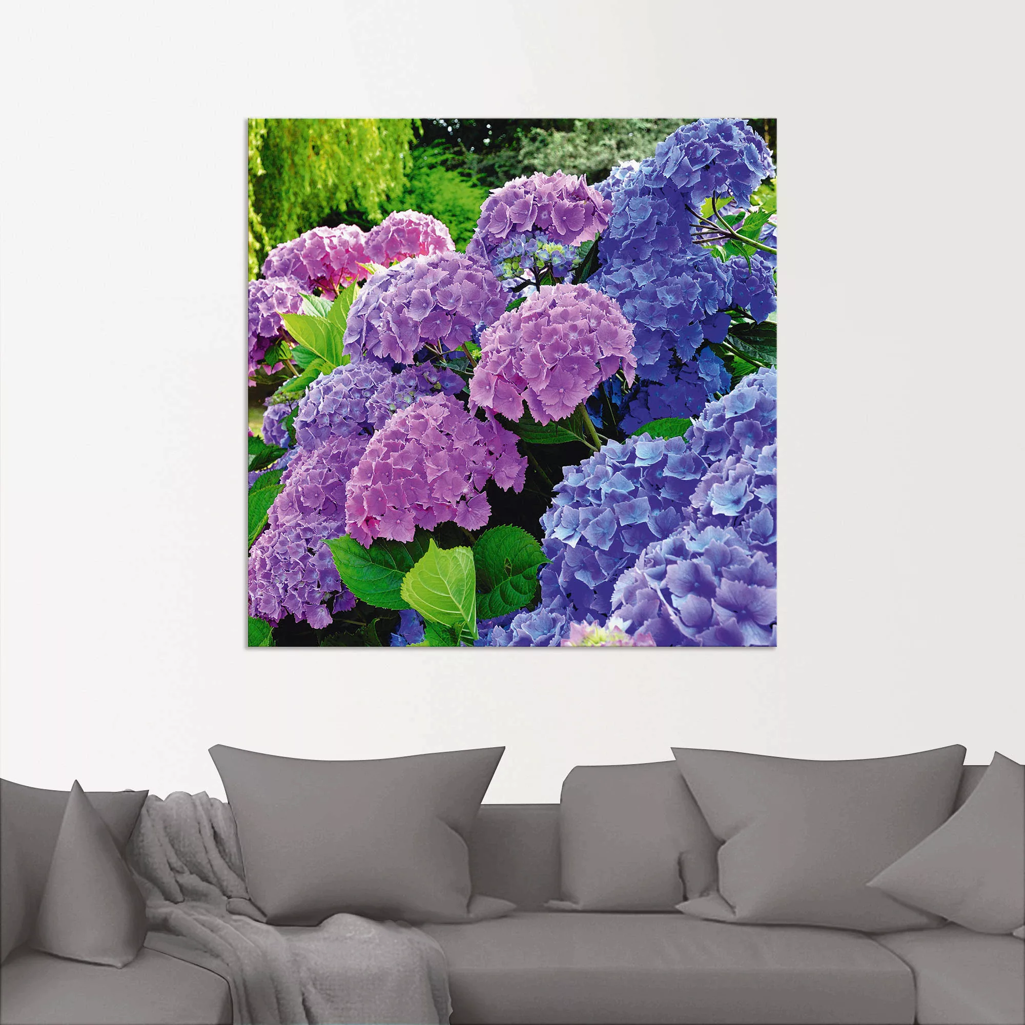 Artland Wandbild »Hortensien im Garten«, Blumen, (1 St.), als Alubild, Outd günstig online kaufen