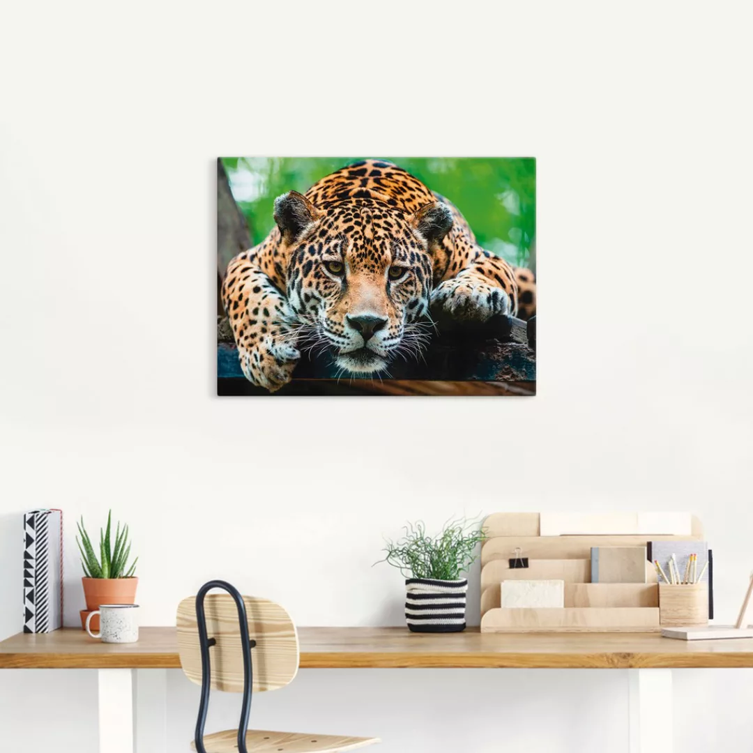 Artland Wandbild »Südamerikanischer Jaguar«, Wildtiere, (1 St.), als Alubil günstig online kaufen