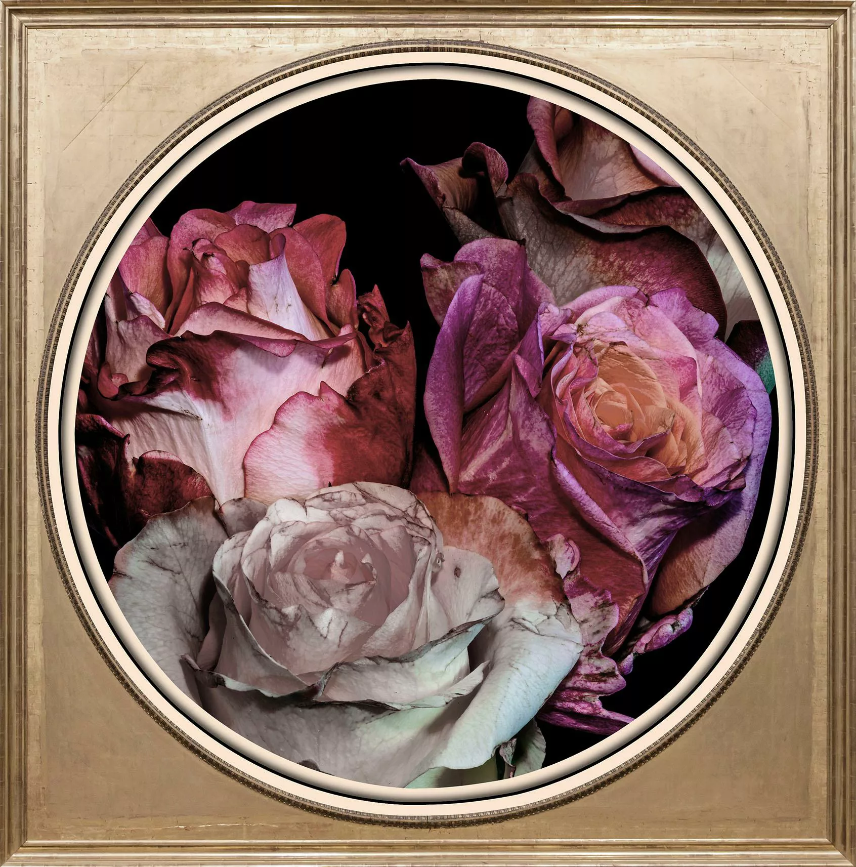 queence Acrylglasbild "Getrocknete Rosen" günstig online kaufen