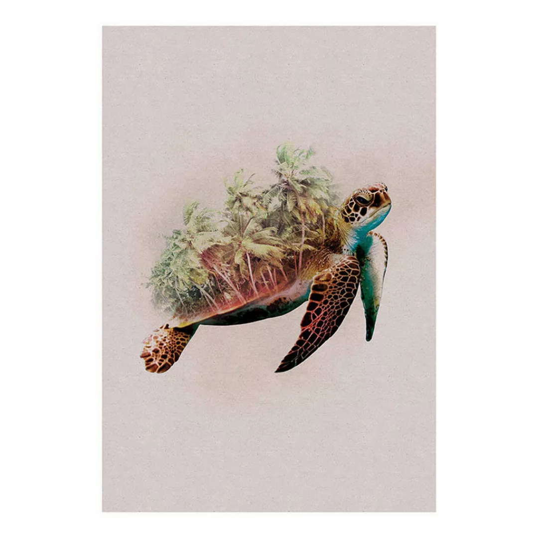 Komar Wandbild Animals Paradise Turtle Tiere B/L: ca. 50x70 cm günstig online kaufen