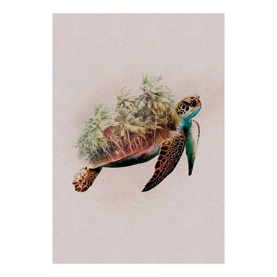 Komar Poster Animals Paradise Turtle Tiere B/L: ca. 50x70 cm günstig online kaufen