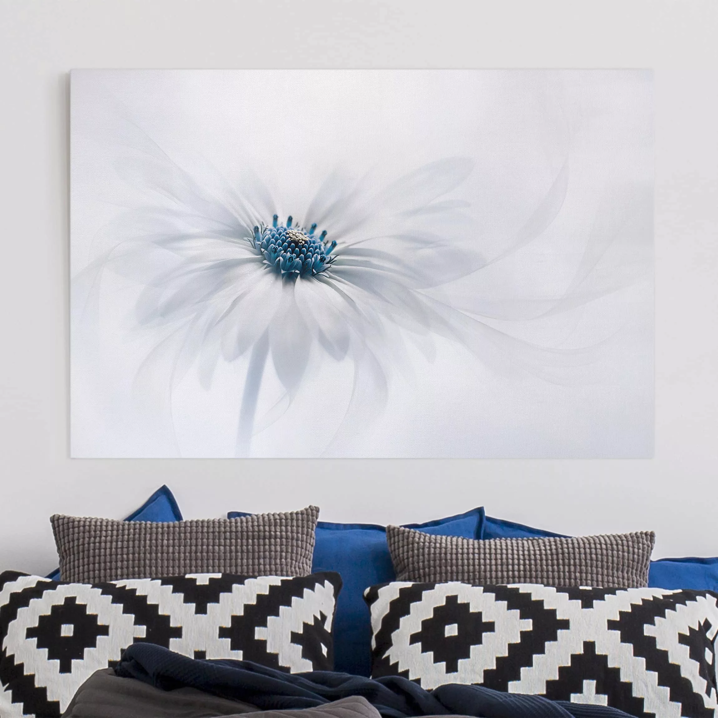 Leinwandbild Blumen - Querformat Gänseblümchen in Blau günstig online kaufen