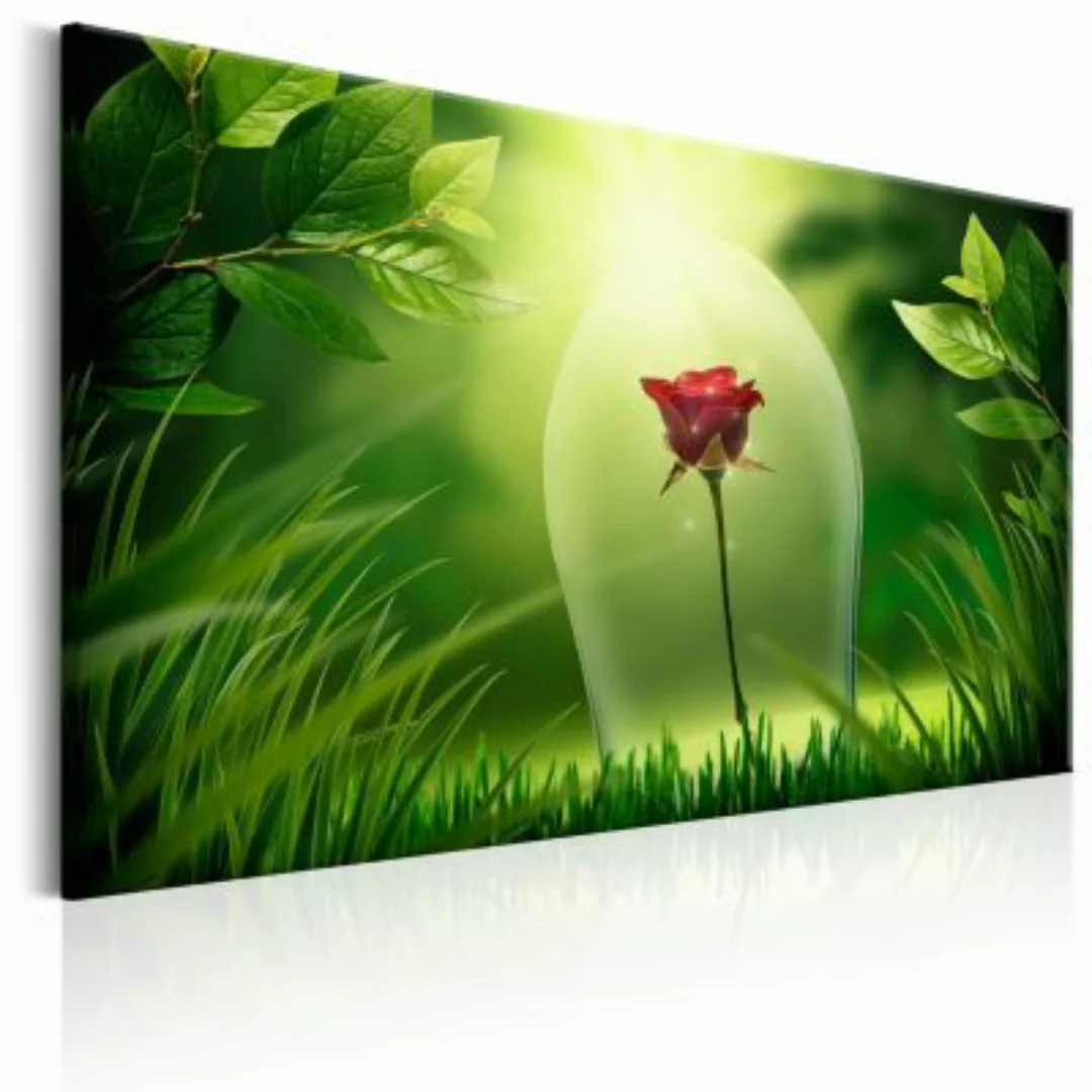 artgeist Wandbild Magical Rose mehrfarbig Gr. 60 x 40 günstig online kaufen