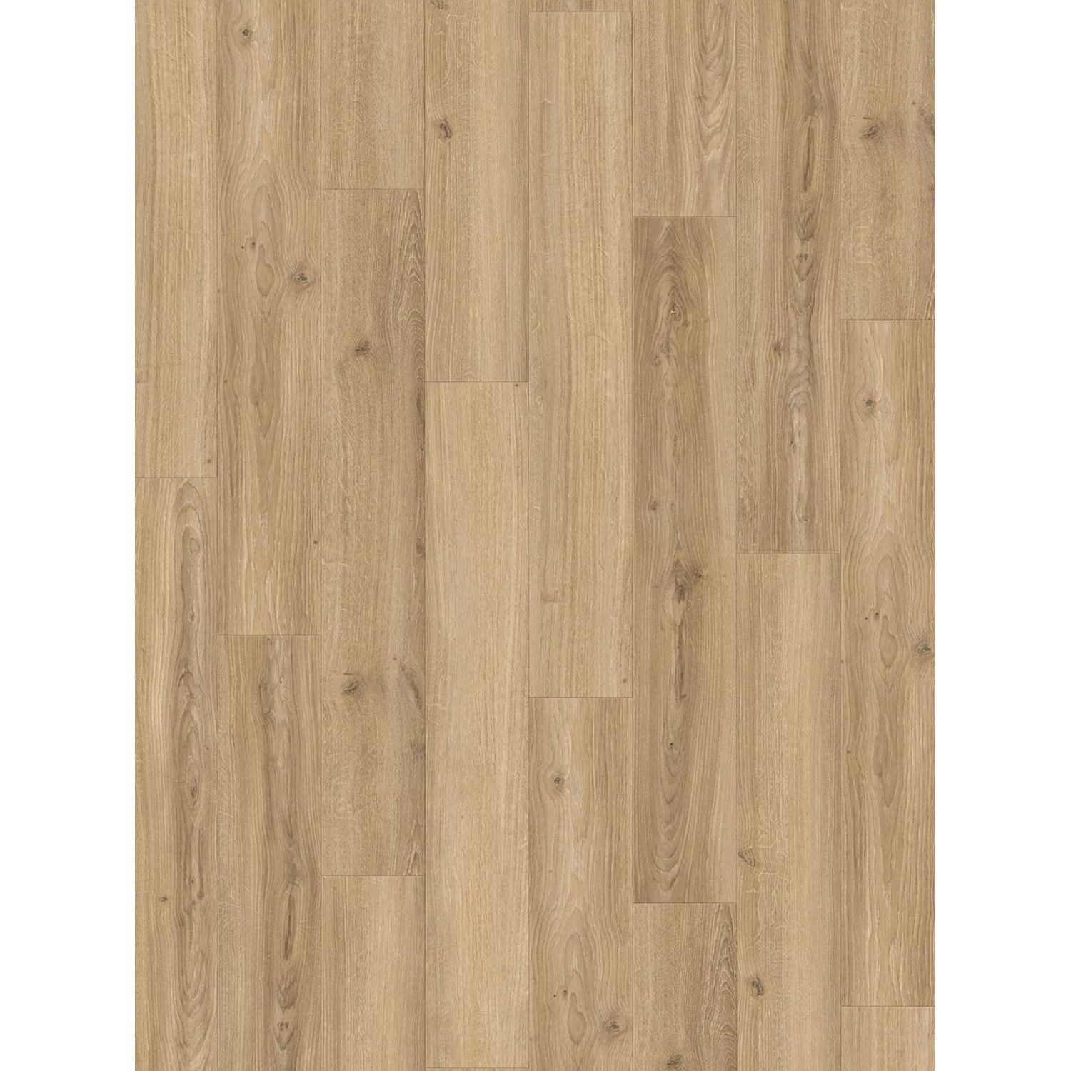 Parador Laminatboden Basic 400 M4V Eiche Studioline Beige Naturmattstruktur günstig online kaufen