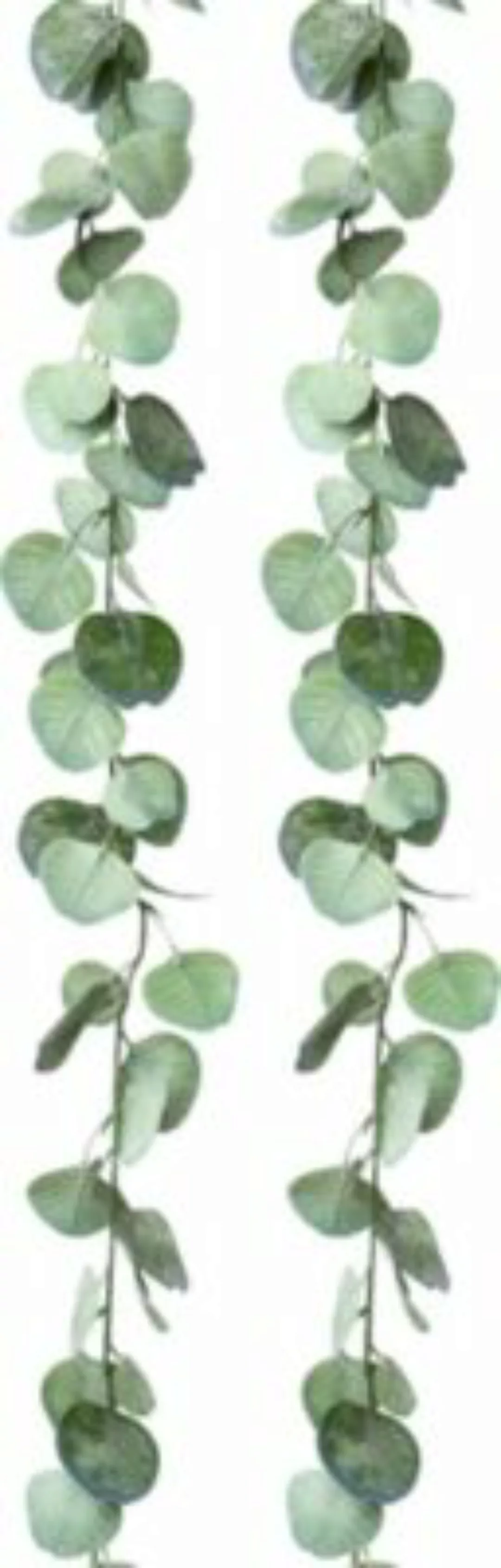 Kunstpflanze Eukalyptusgirlande 2er-Pack grün günstig online kaufen