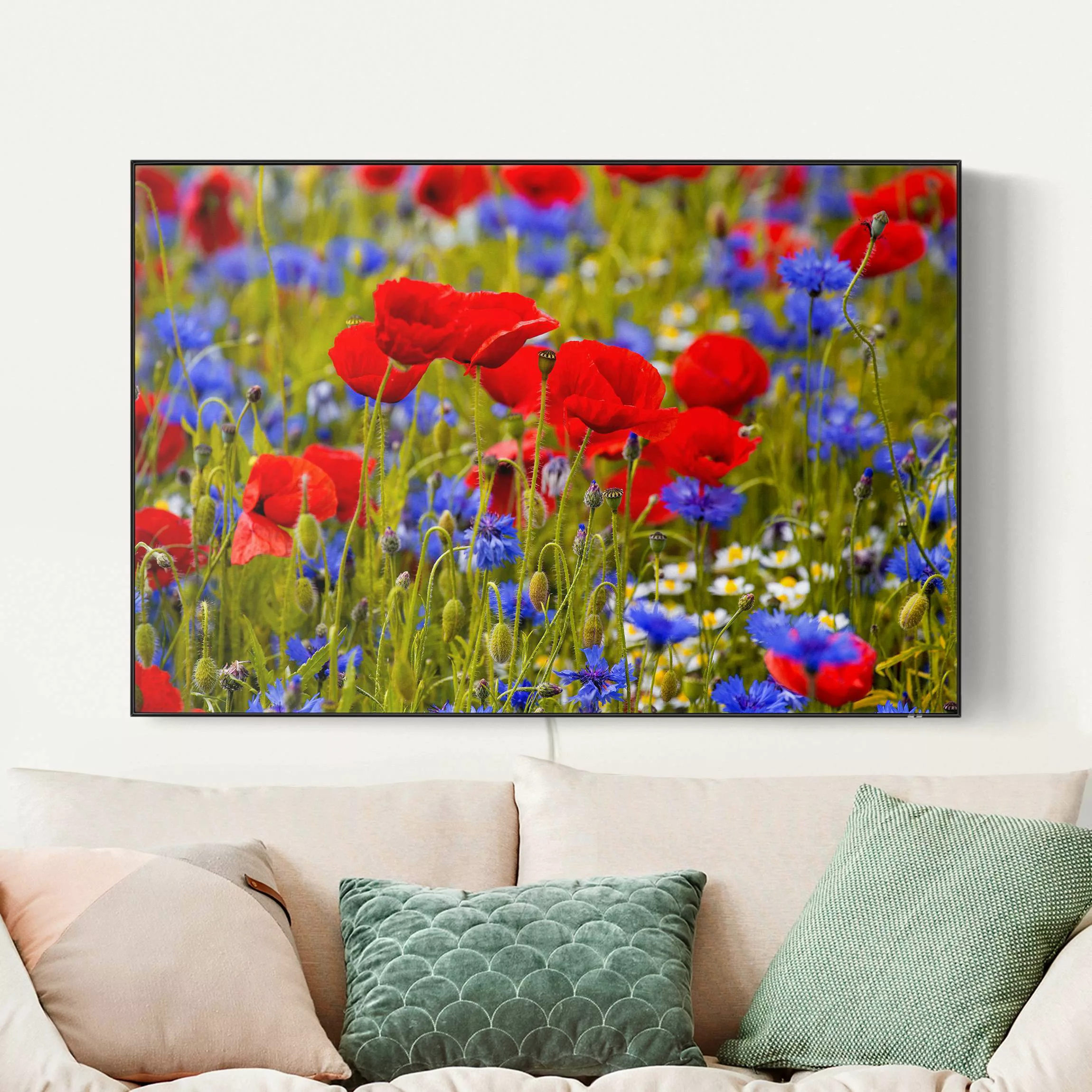 LED-Wechselbild Sommerwiese mit Mohn und Kornblumen günstig online kaufen