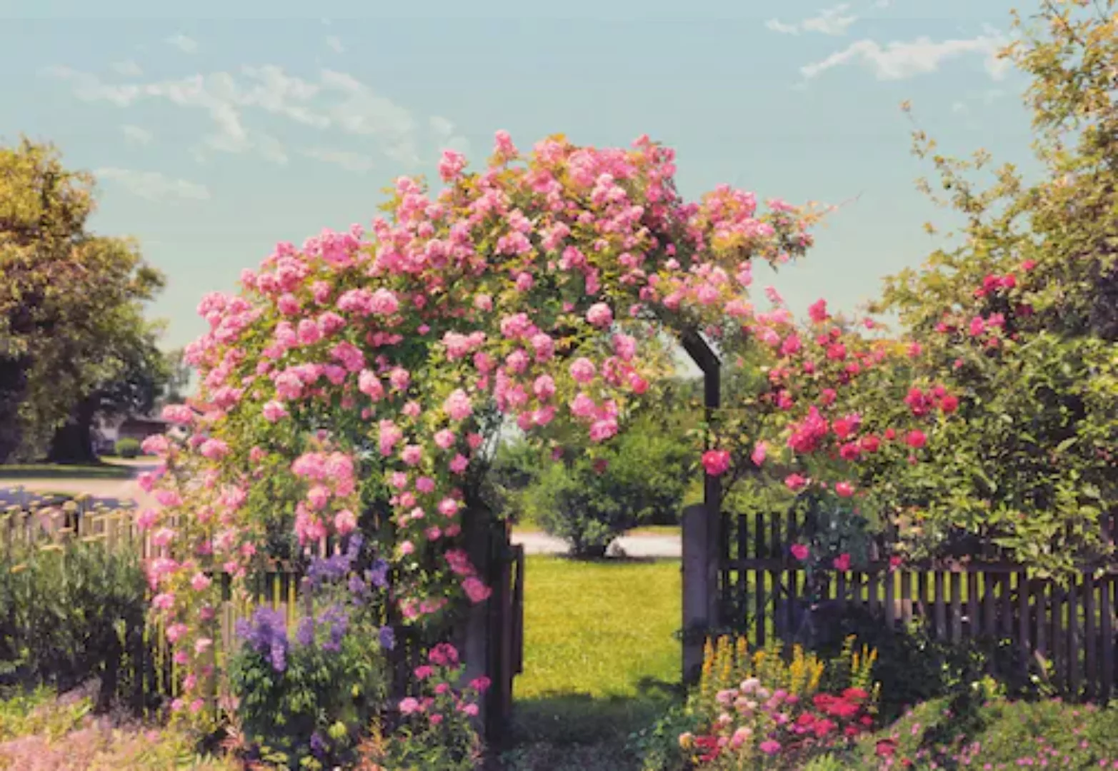 Komar Fototapete Rose Garden 368 cm x 254 cm FSC® günstig online kaufen