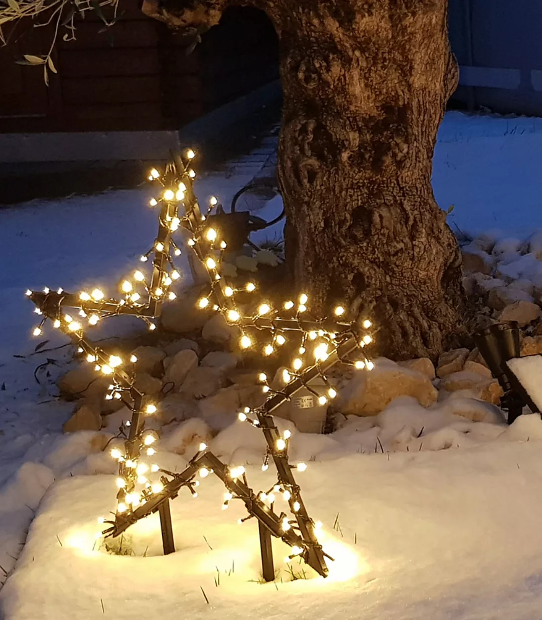 my home LED Stern "Caden, Weihnachtsstern, Weihnachtsdeko mit 150 LEDs", Ga günstig online kaufen