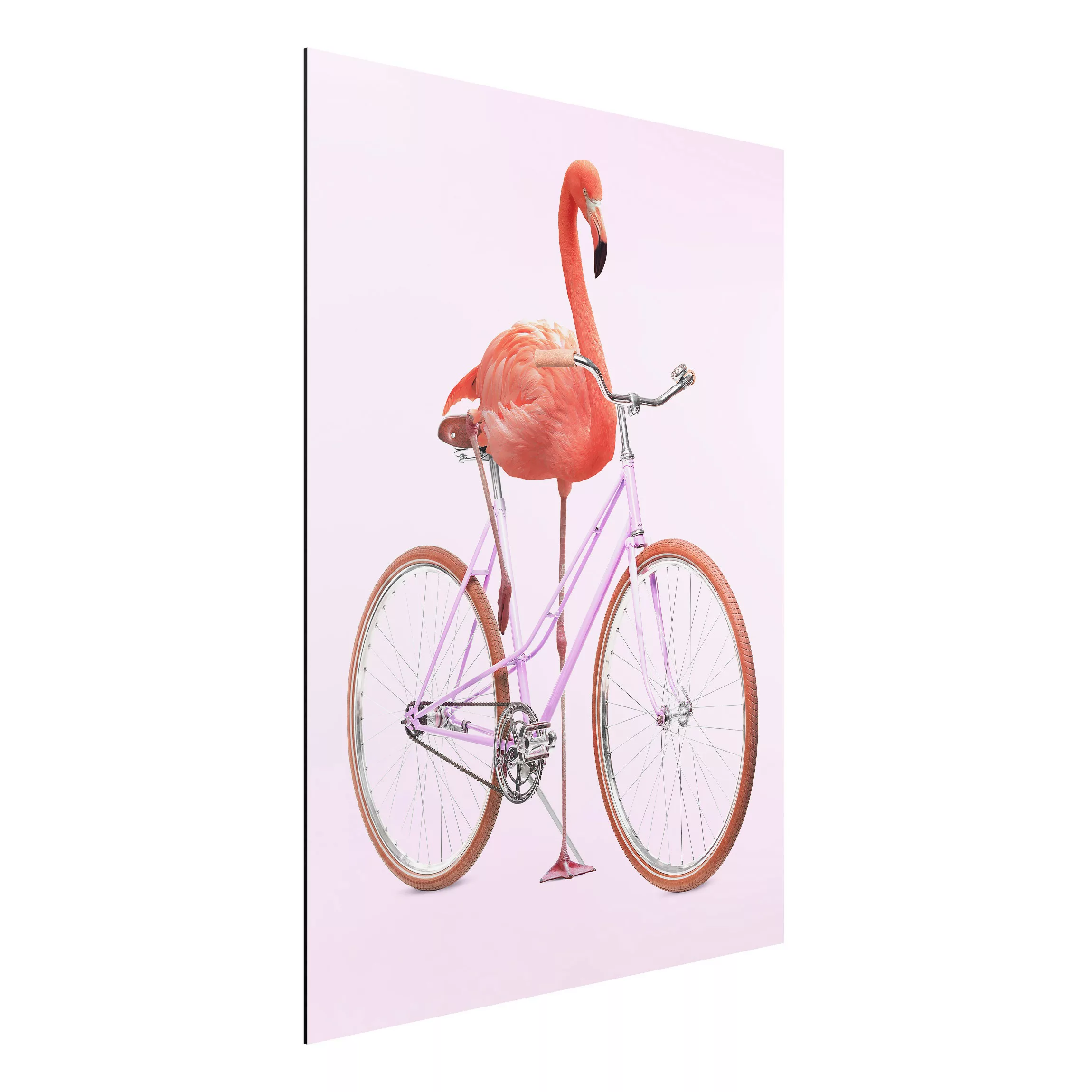 Alu-Dibond Bild - Hochformat 3:4 Flamingo mit Fahrrad günstig online kaufen