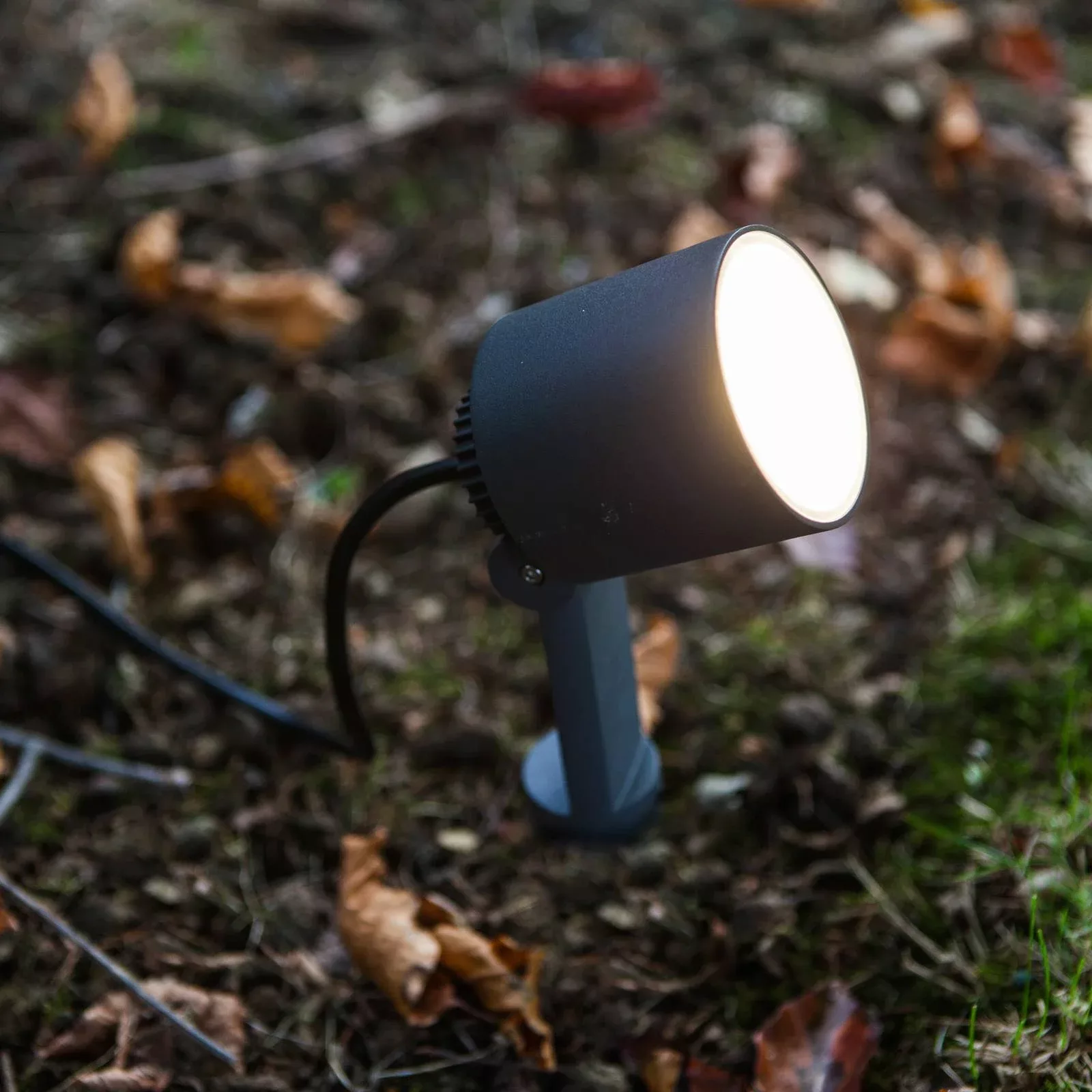 LED-Erdspießleuchte Explorer mit Spotkopf günstig online kaufen