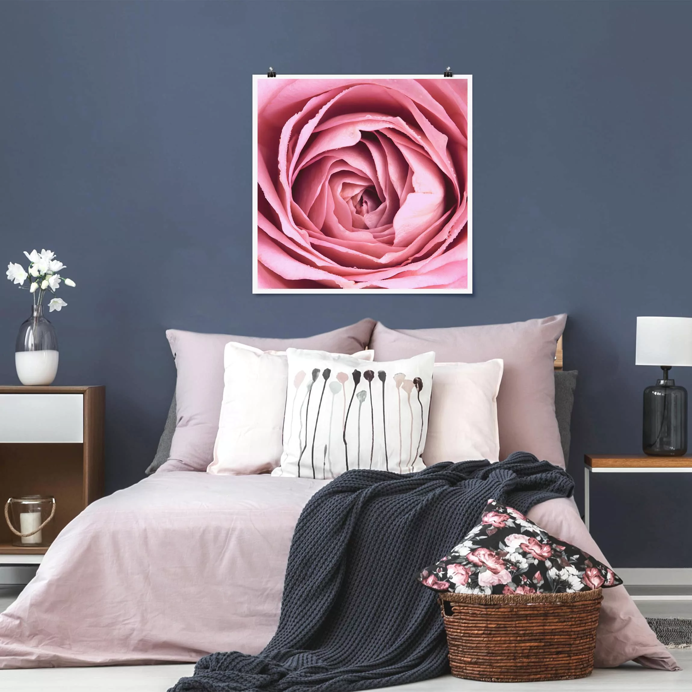 Poster - Quadrat Rosa Rosenblüte günstig online kaufen