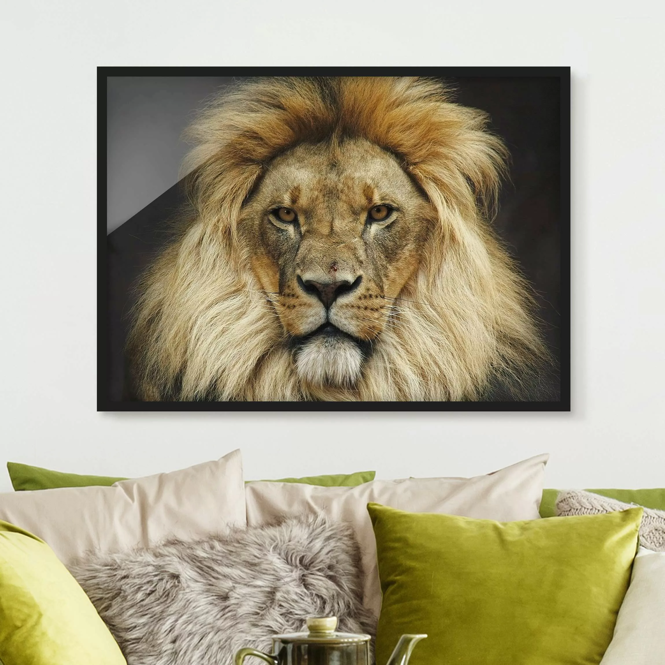 Bild mit Rahmen Tiere - Querformat Wisdom of Lion günstig online kaufen