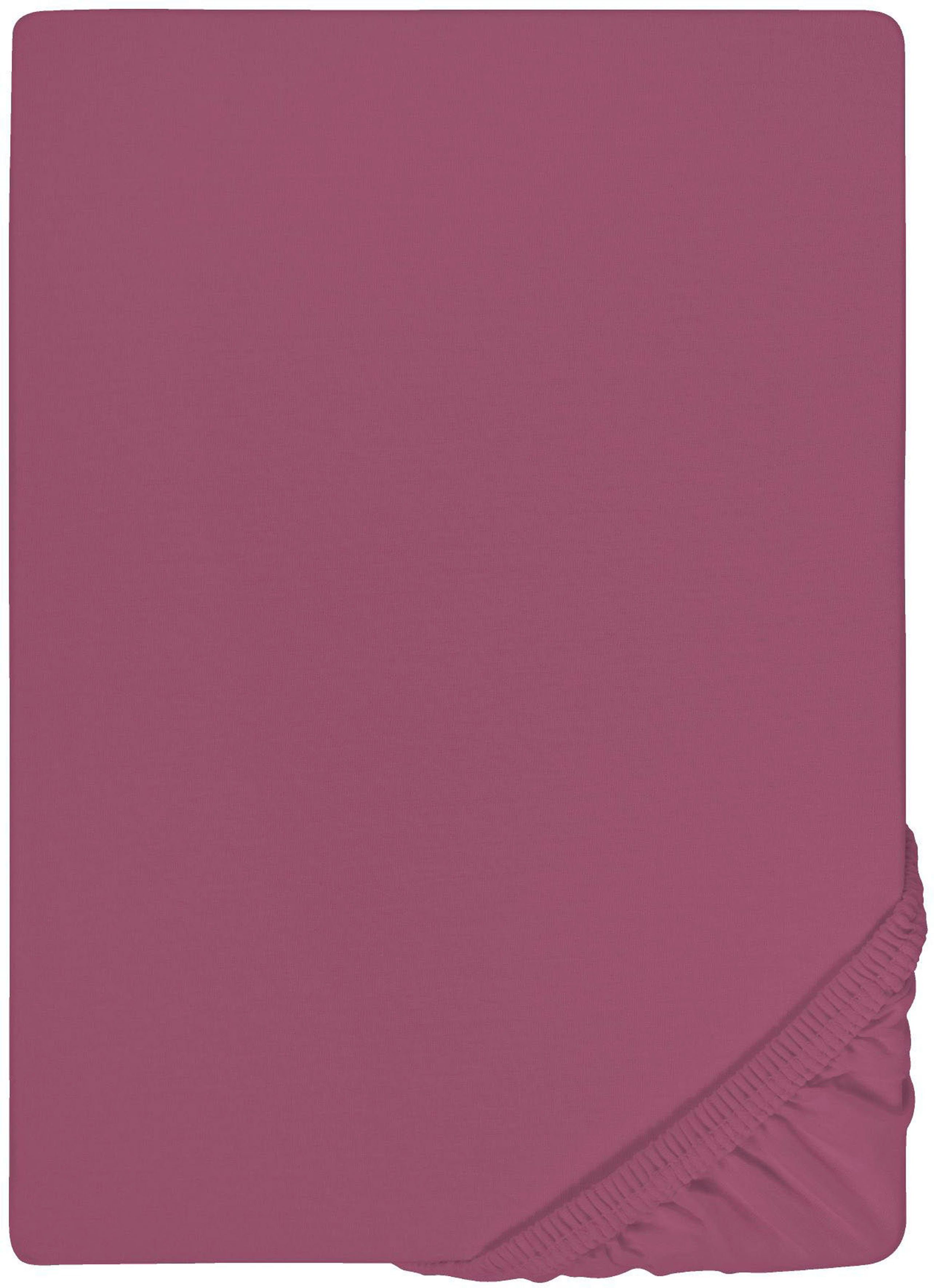 Castell - Markenbettwäsche Spannbettlaken Spannbetttuch Jersey-Stretch, günstig online kaufen