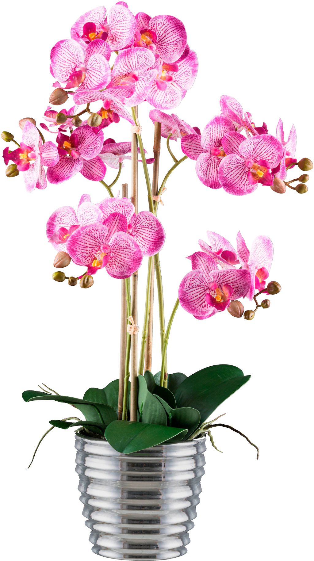 Creativ green Kunstorchidee "Orchidee Phalaenopsis", mit silberfarbenem Ker günstig online kaufen