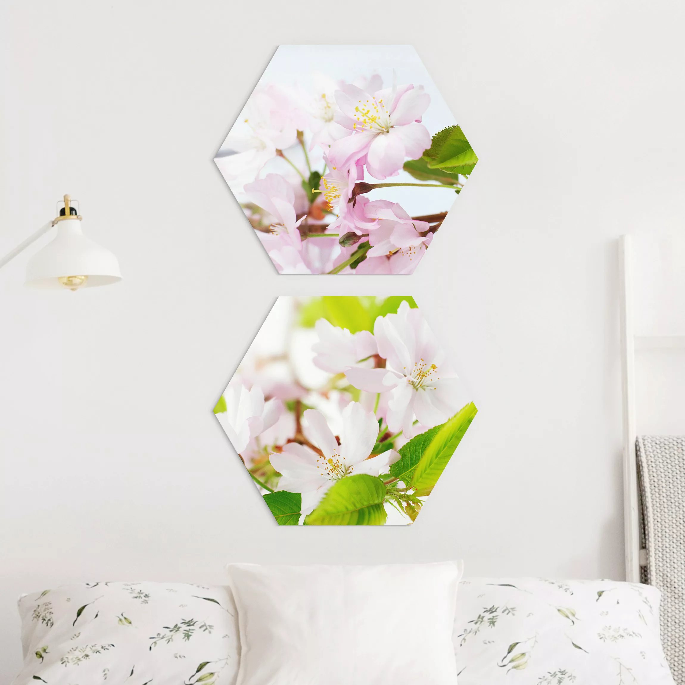 2-teiliges Hexagon-Alu-Dibond Bild Zierkirsche mit Blüten günstig online kaufen