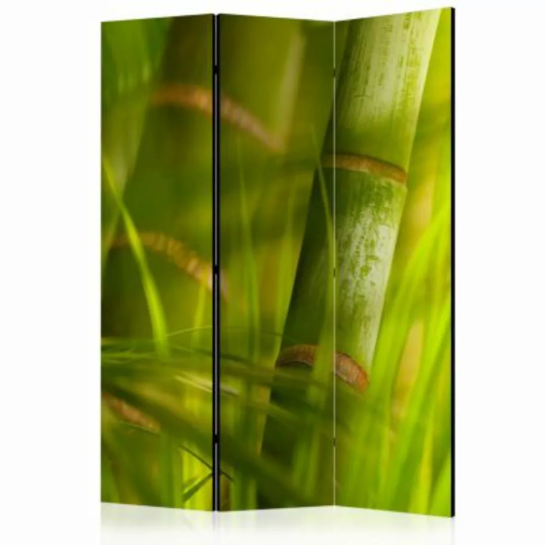 artgeist Paravent bamboo - nature zen [Room Dividers] grün-kombi Gr. 135 x günstig online kaufen