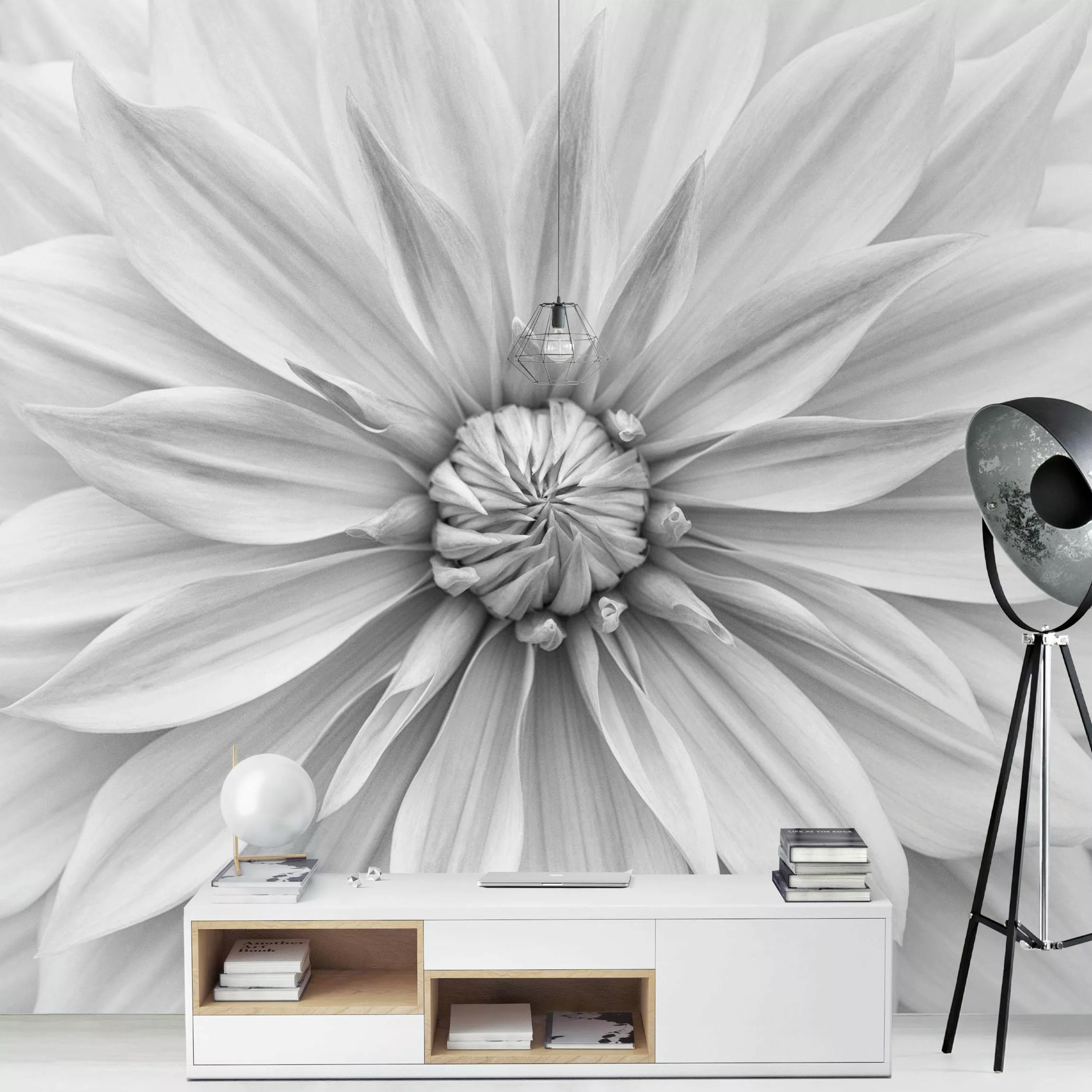 Fototapete Botanische Blüte in Weiß günstig online kaufen