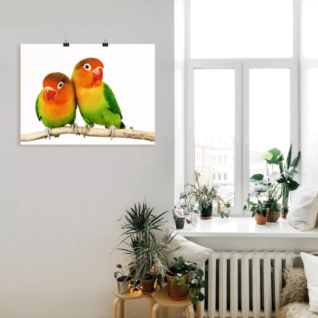 Artland Wandbild "Paar von Grauköpfchen - Papageien", Vögel, (1 St.), als L günstig online kaufen