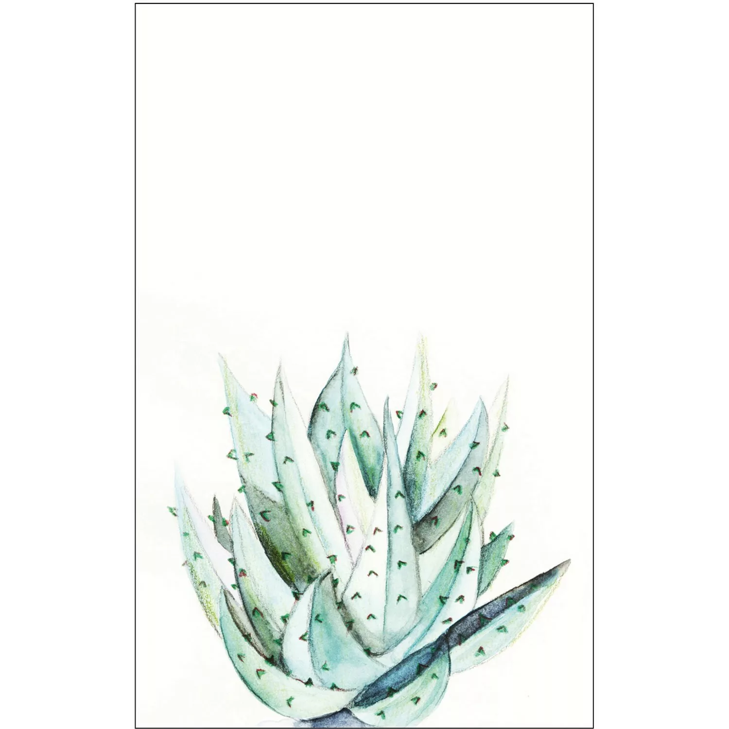 Komar Poster »Aloe Watercolor«, Pflanzen-Blätter, (1 St.), Kinderzimmer, Sc günstig online kaufen