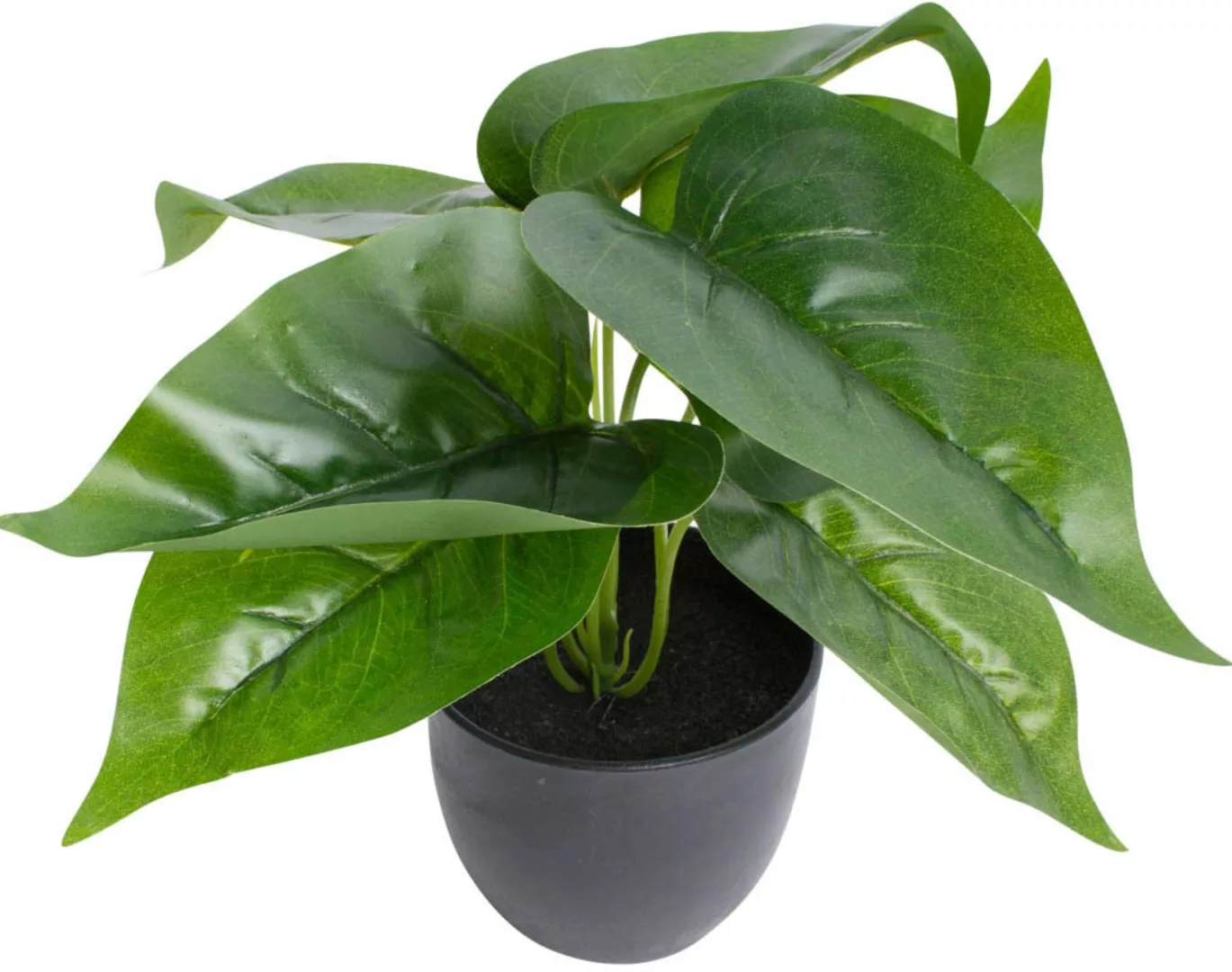 Botanic-Haus Künstliche Zimmerpflanze "Philodendron" günstig online kaufen