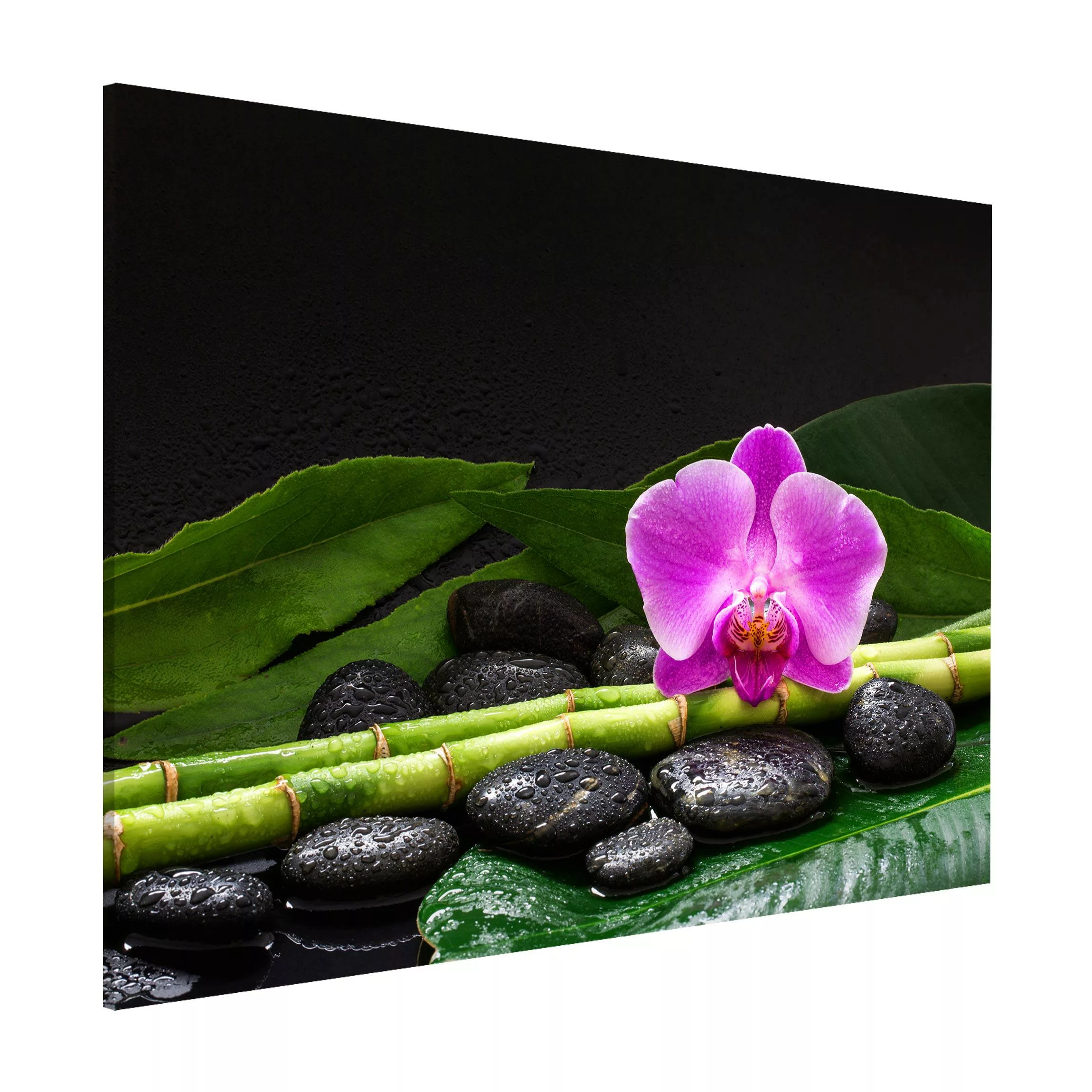 Magnettafel Grüner Bambus mit Orchideenblüte günstig online kaufen