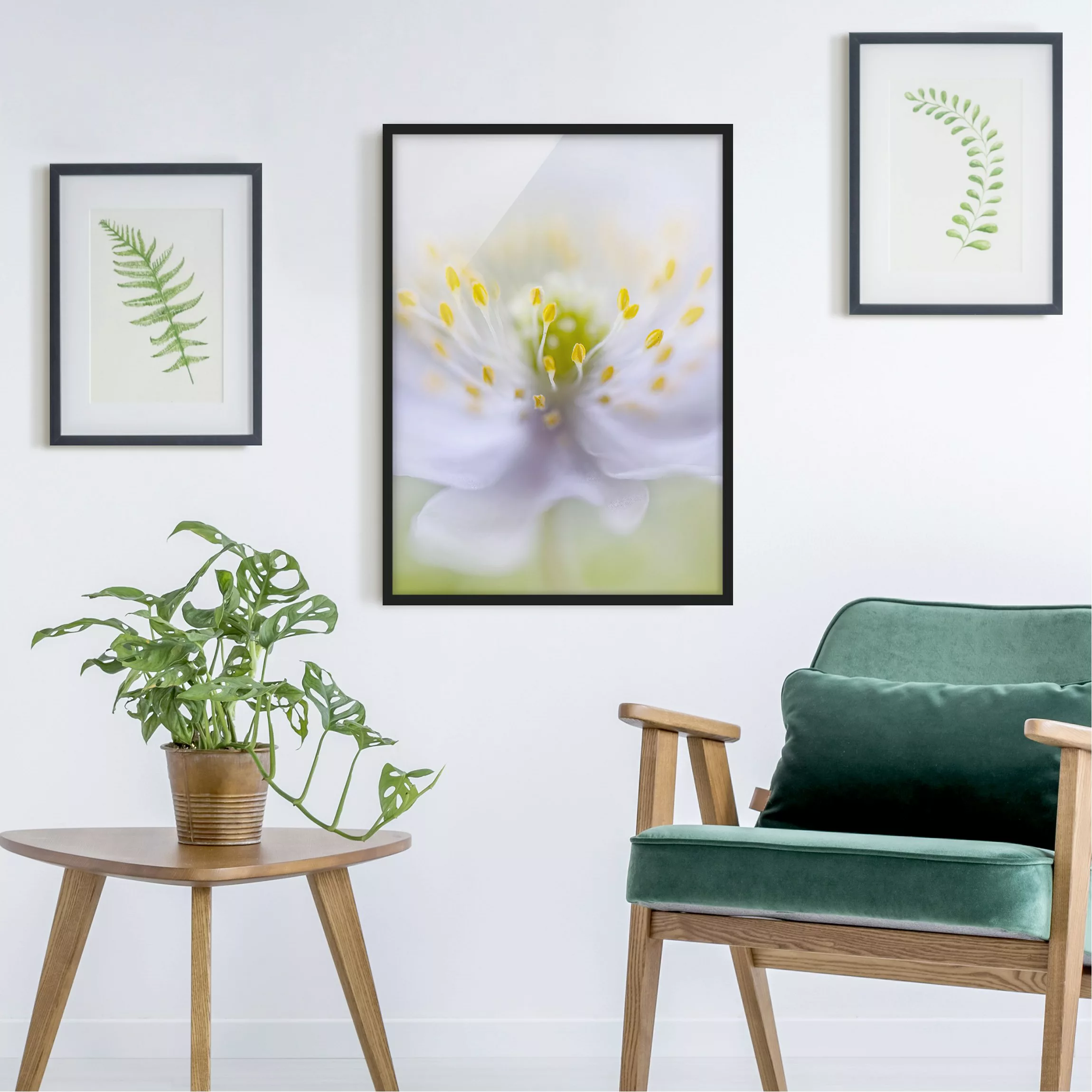 Bild mit Rahmen Blumen - Hochformat Anemonen Schönheit günstig online kaufen