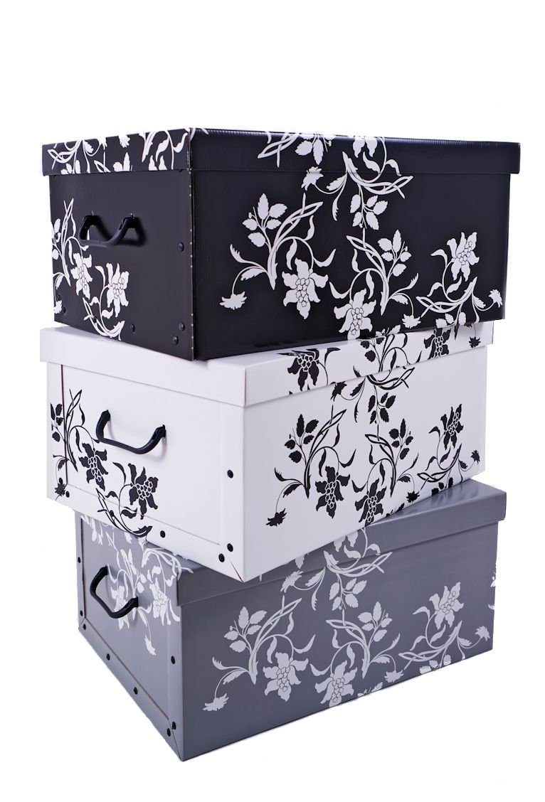 Spetebo Aufbewahrungsbox Storage Box 49x39x24 - günstig online kaufen
