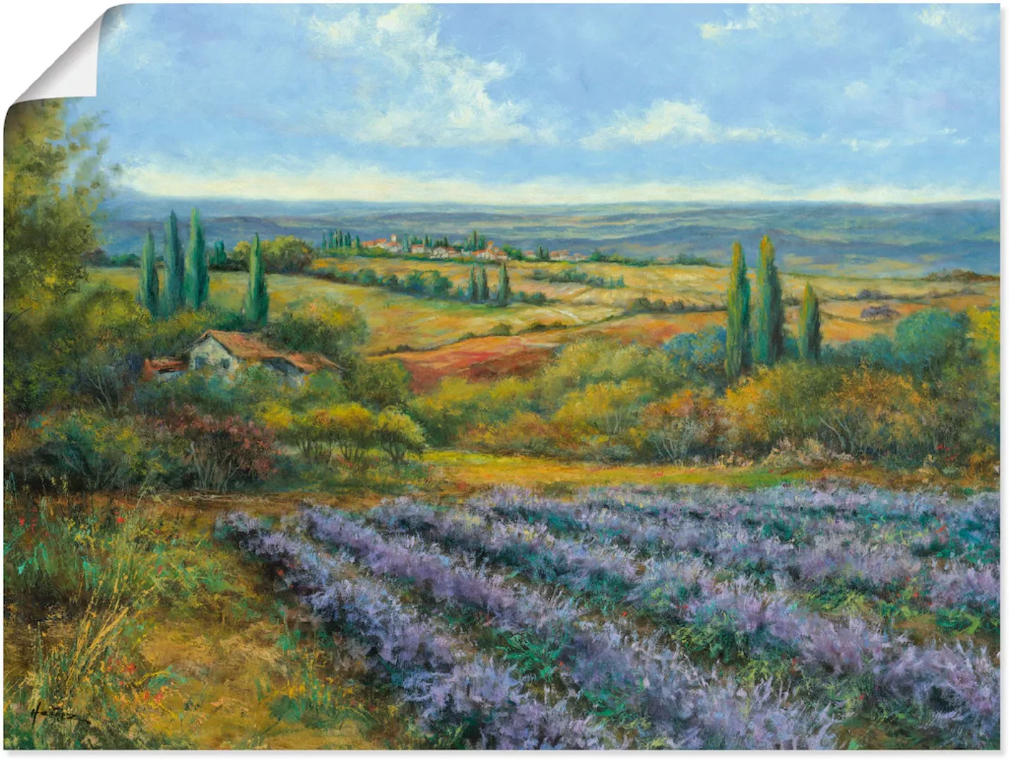 Artland Wandbild "Lavendelfelder in der Provence", Europa, (1 St.) günstig online kaufen