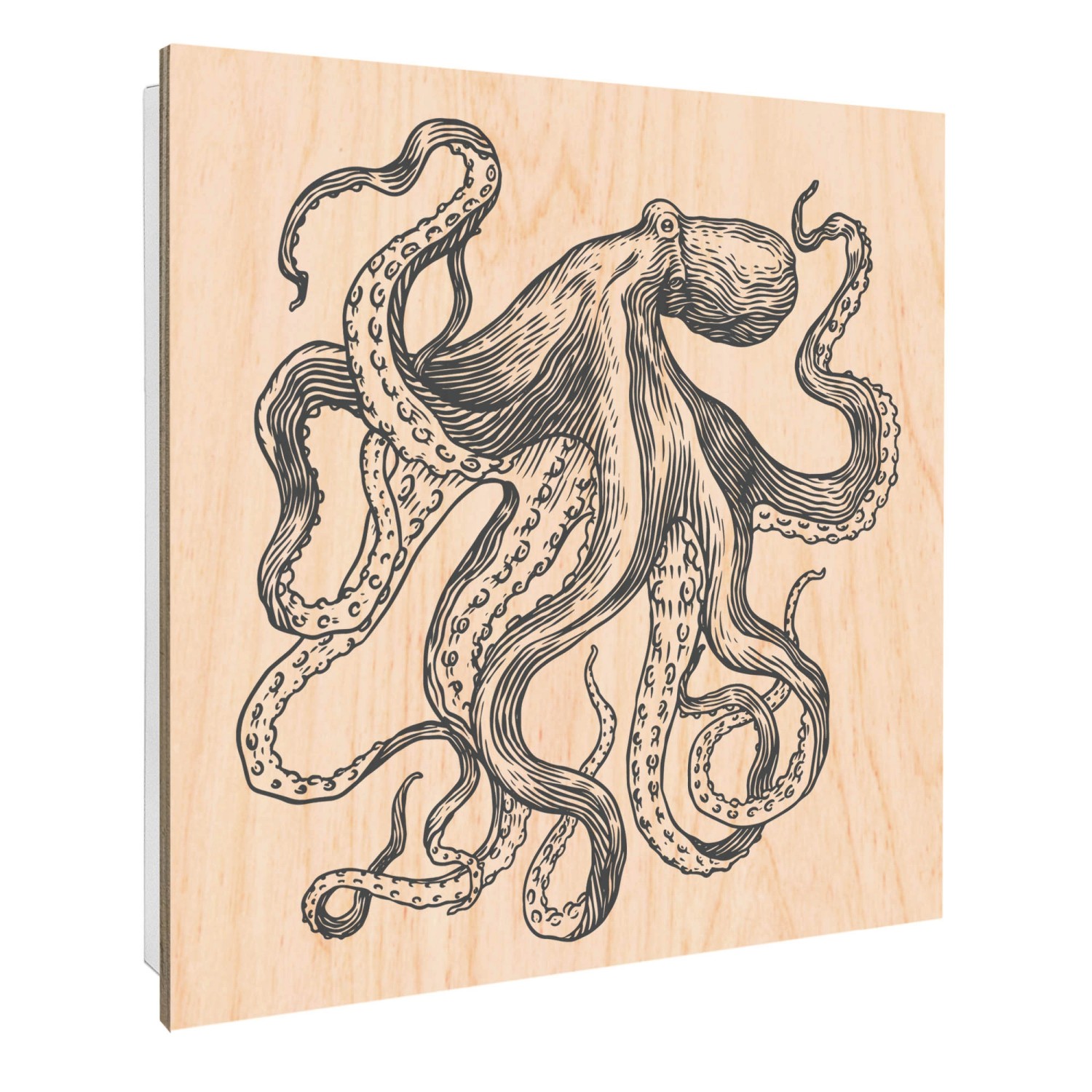 Banjado Schlüsselkasten mit Holzfront 30x30cm Weiß Scharnier Links 50 Haken günstig online kaufen