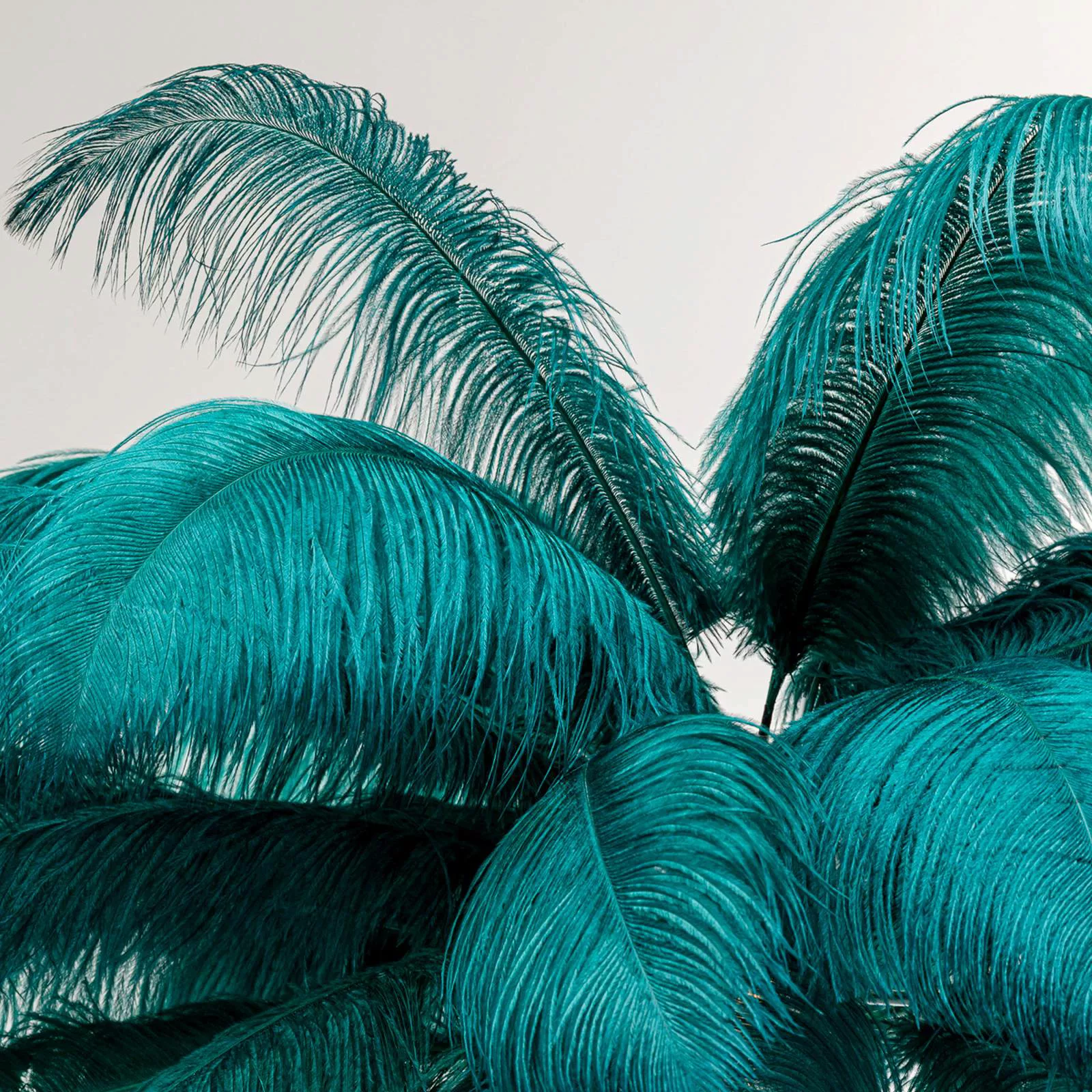 KARE Feather Palm Stehleuchte mit Federn, grün günstig online kaufen