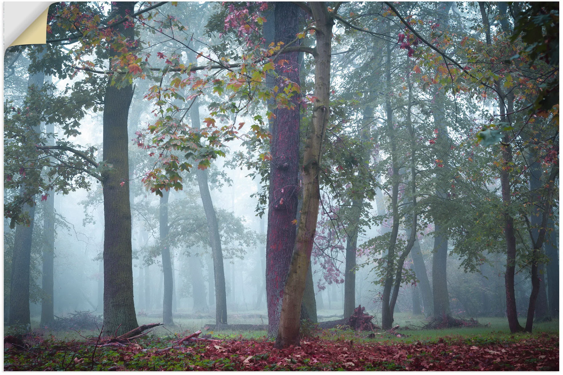 Artland Wandbild "Nebel im Wald", Waldbilder, (1 St.), als Alubild, Outdoor günstig online kaufen