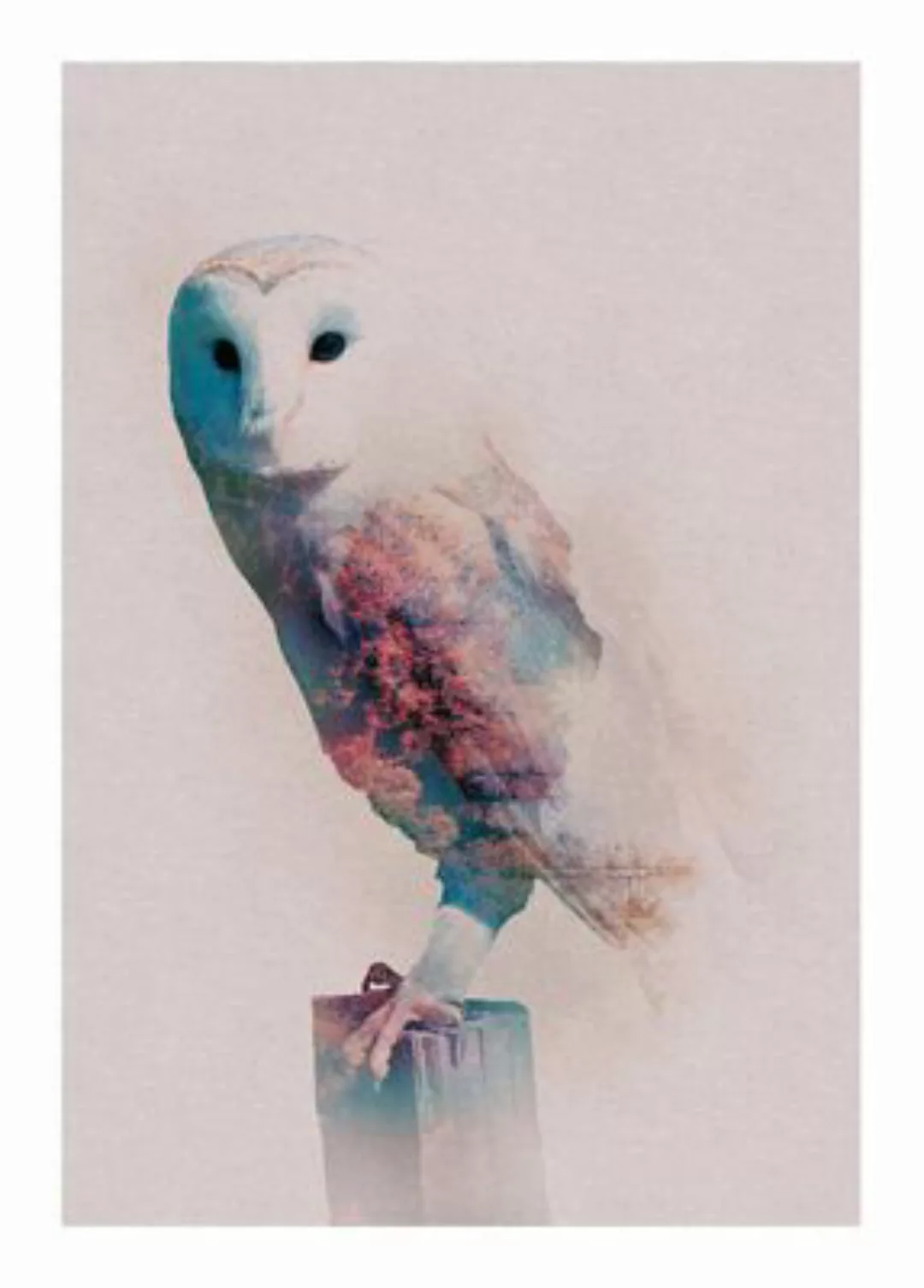 KOMAR Wandbild - Animals Forest Owl - Größe: 50 x 70 cm mehrfarbig Gr. one günstig online kaufen