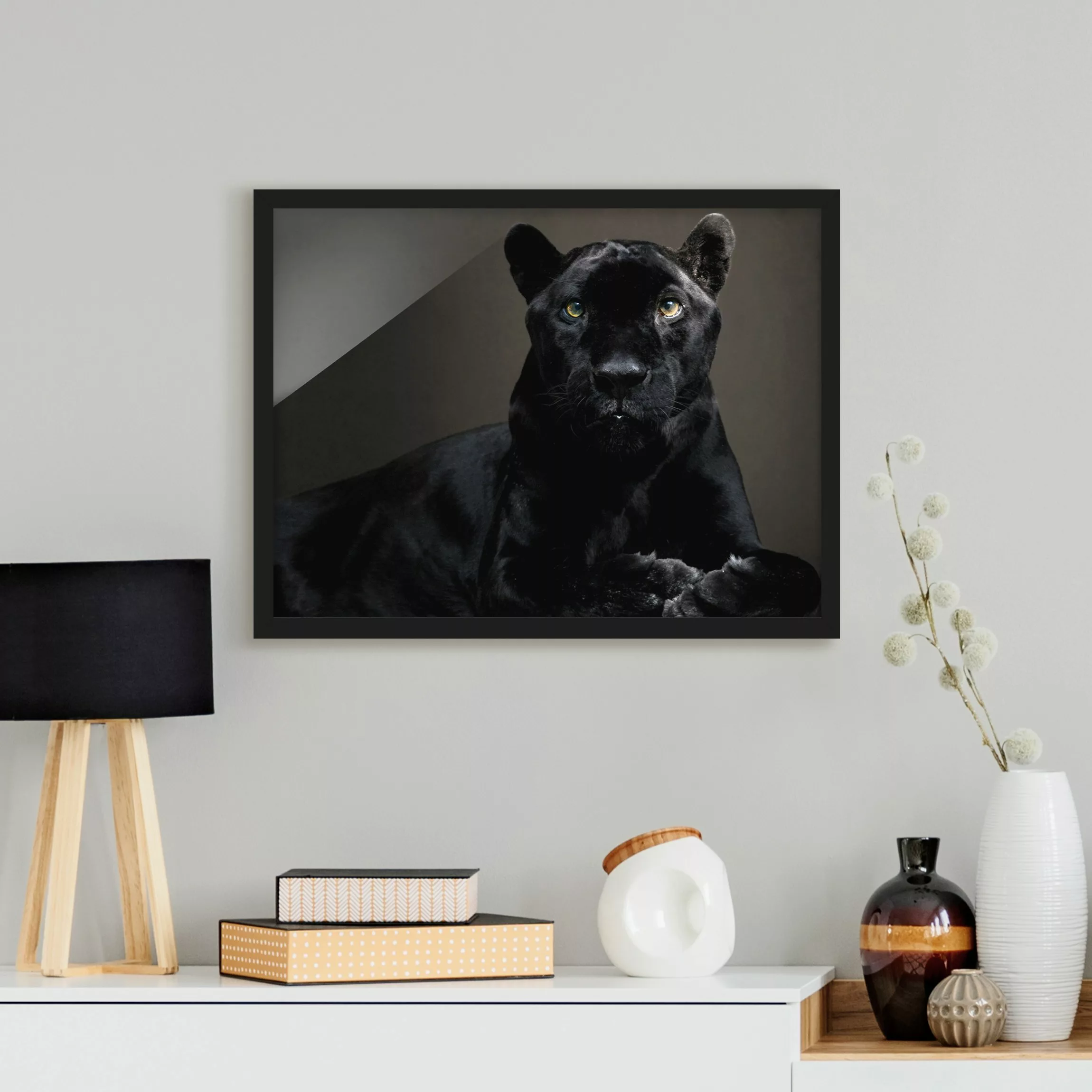 Bild mit Rahmen Tiere - Querformat Black Puma günstig online kaufen