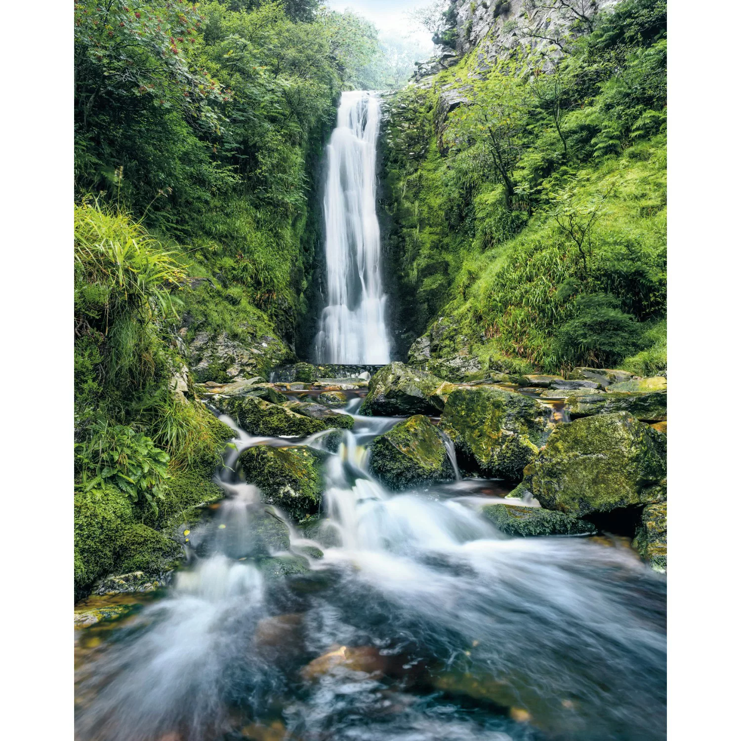 Komar Fototapete Vlies Glenevin Falls  200 x 250 cm günstig online kaufen