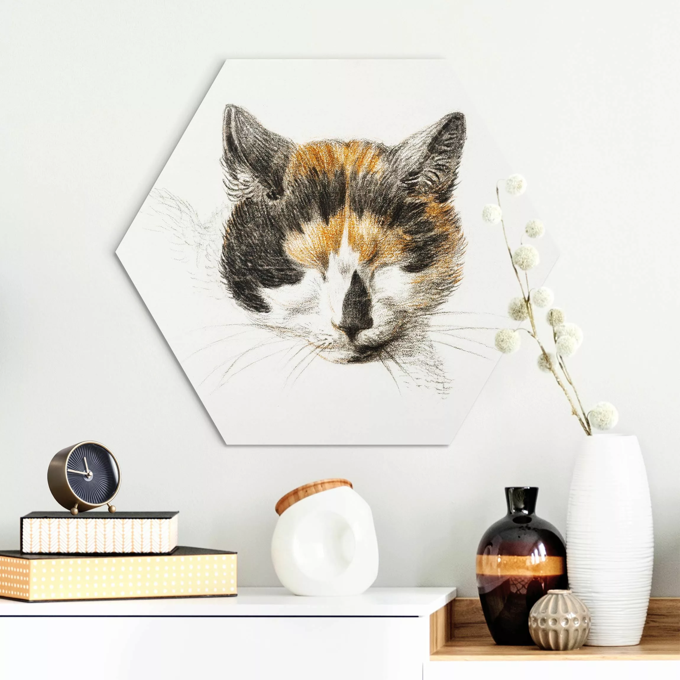 Hexagon-Alu-Dibond Bild Vintage Zeichnung Katze IV günstig online kaufen