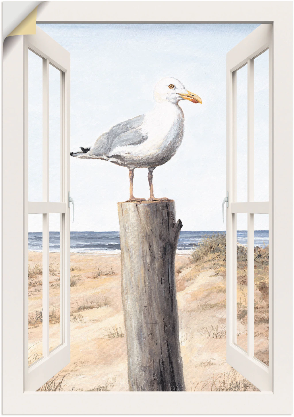 Artland Wandbild "Möwe Fensterblick", Vogelbilder, (1 St.), als Alubild, Le günstig online kaufen