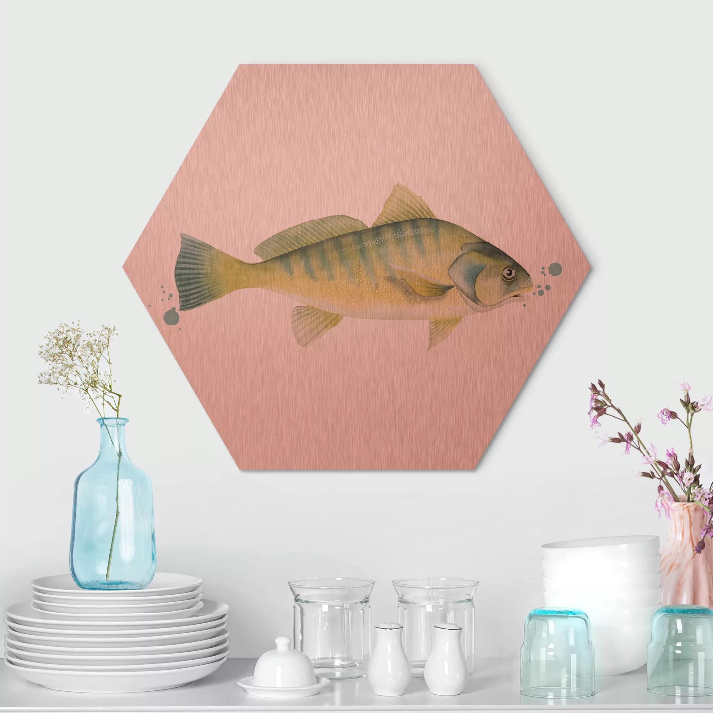 Hexagon-Alu-Dibond Bild Küche Farbfang - Flussbarsch günstig online kaufen