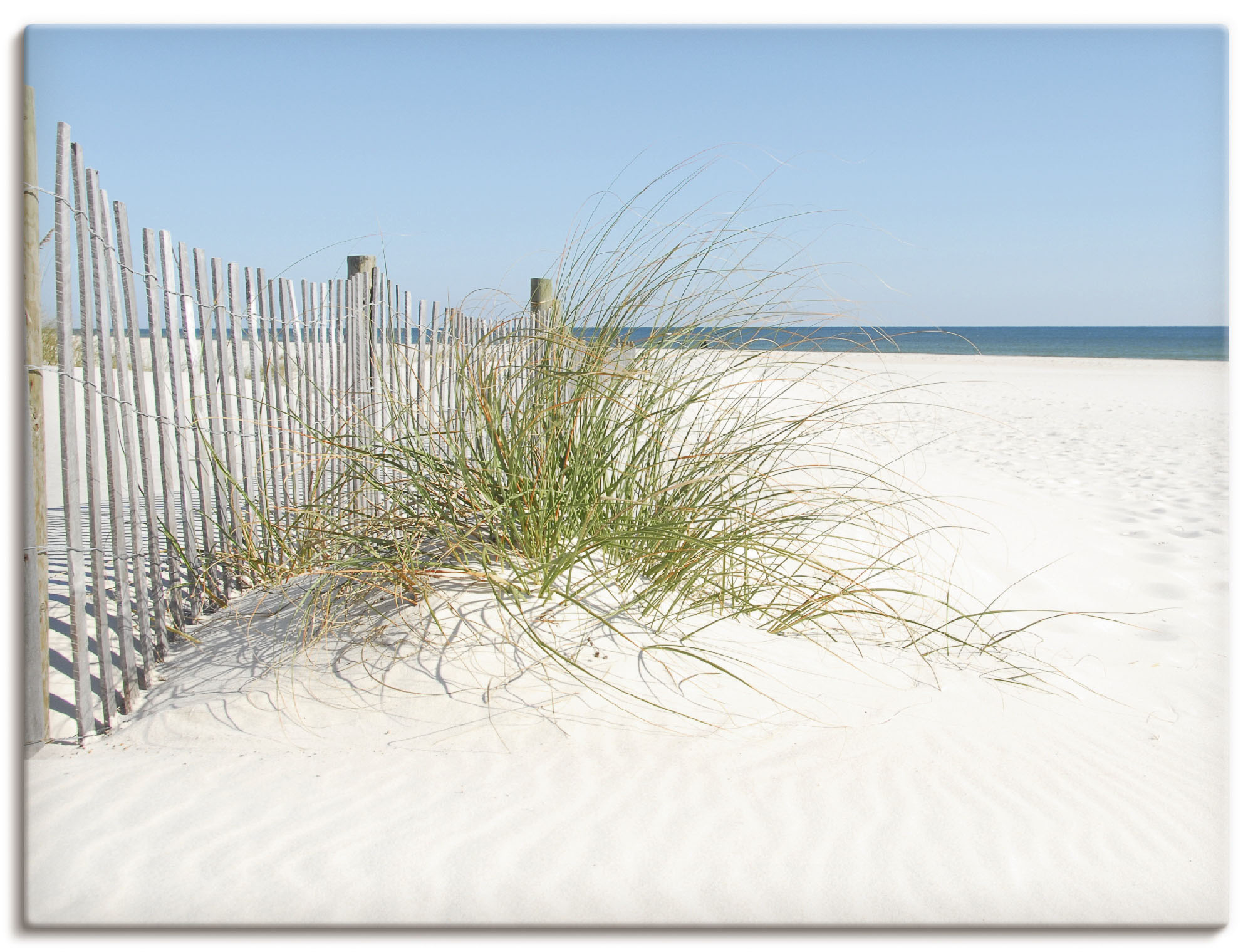 Artland Wandbild »Schöne Sanddüne mit Gräsern und Zaun«, Strand, (1 St.), a günstig online kaufen