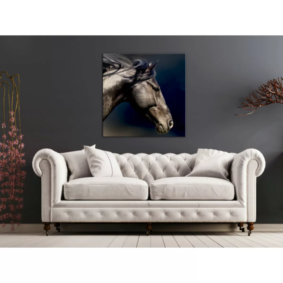 Bild auf Leinwand Verwehte Mähne - künstlerisches Foto mit einem Pferde-Det günstig online kaufen