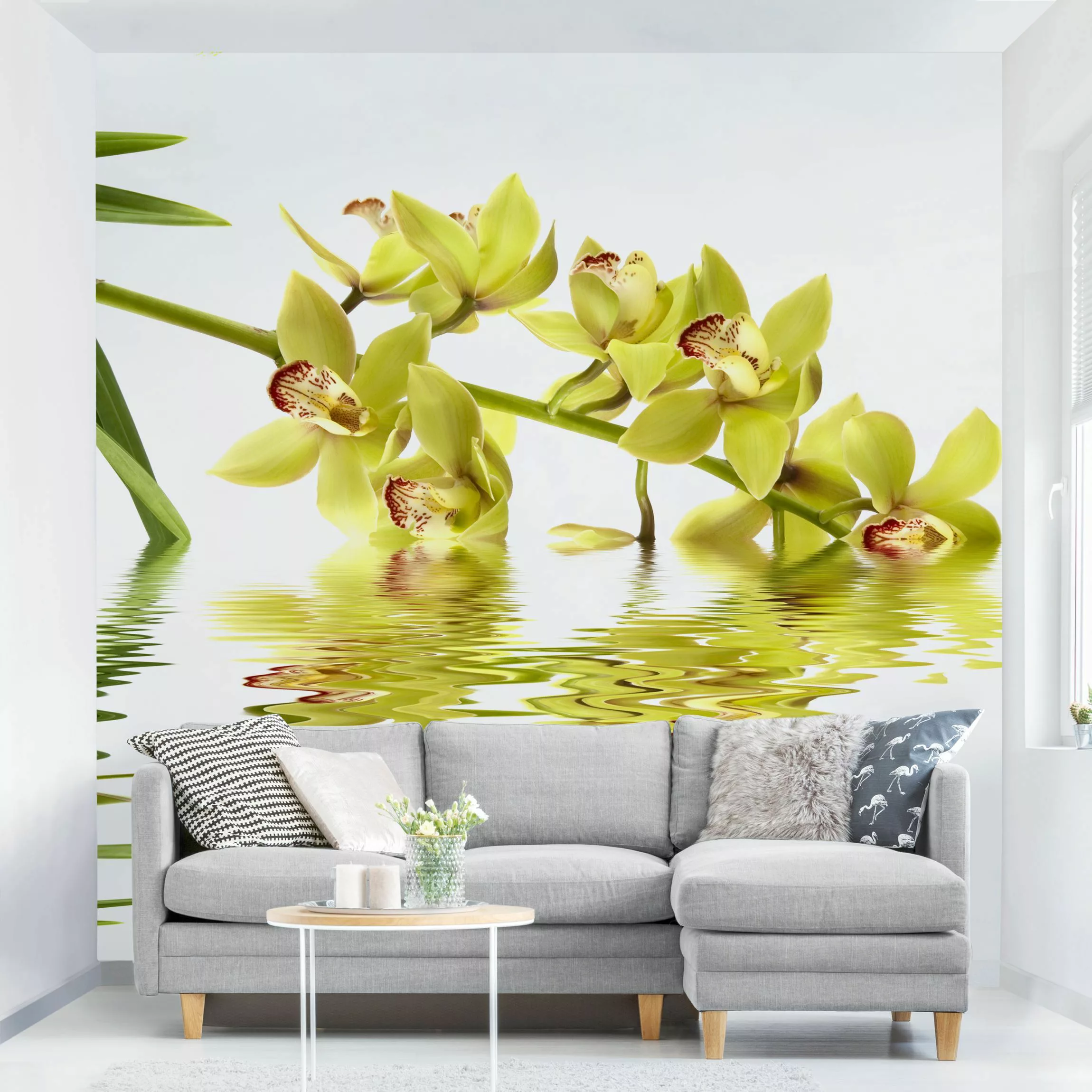 Fototapete Elegant Orchid Waters günstig online kaufen