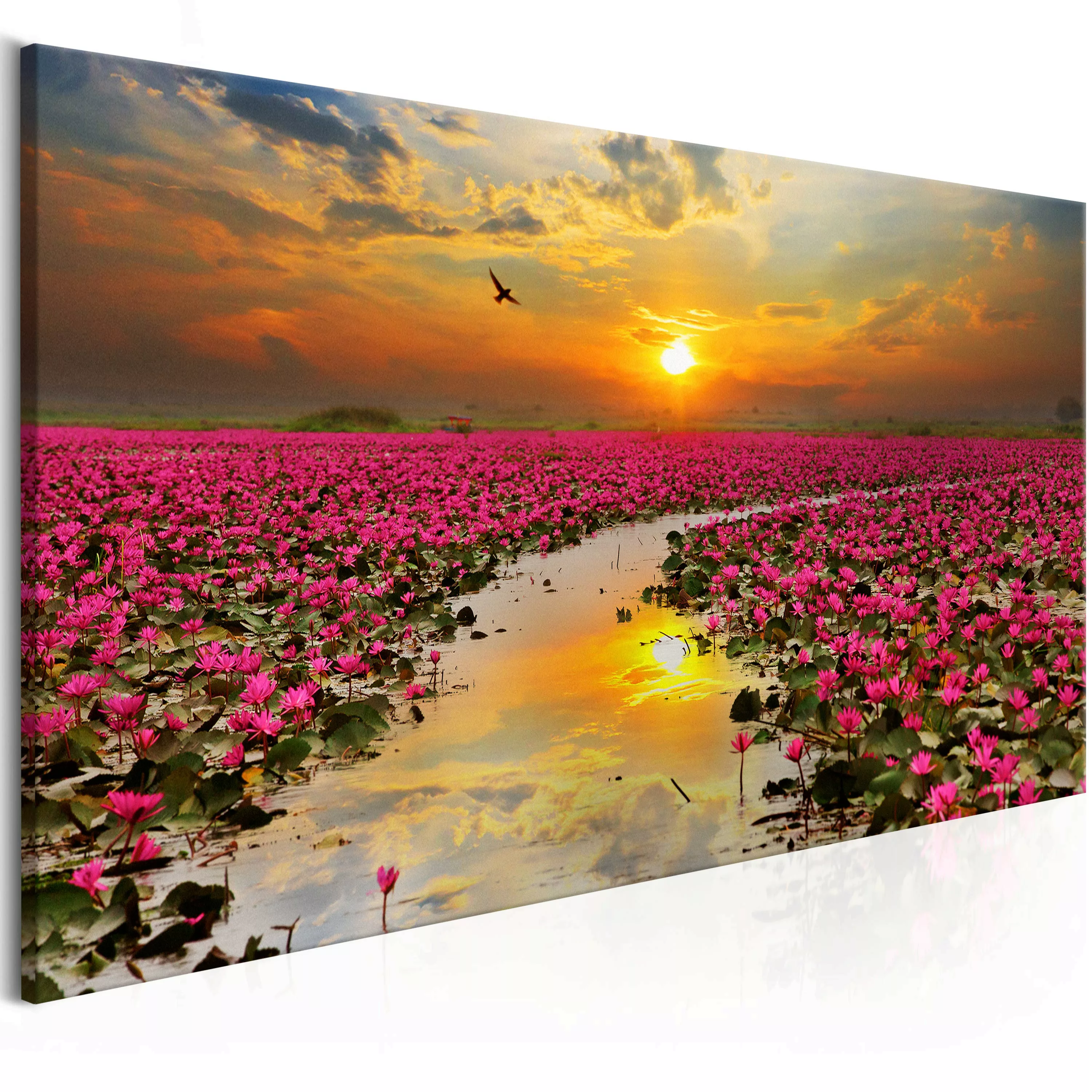 Wandbild - Lily Field (1 Part) Narrow günstig online kaufen