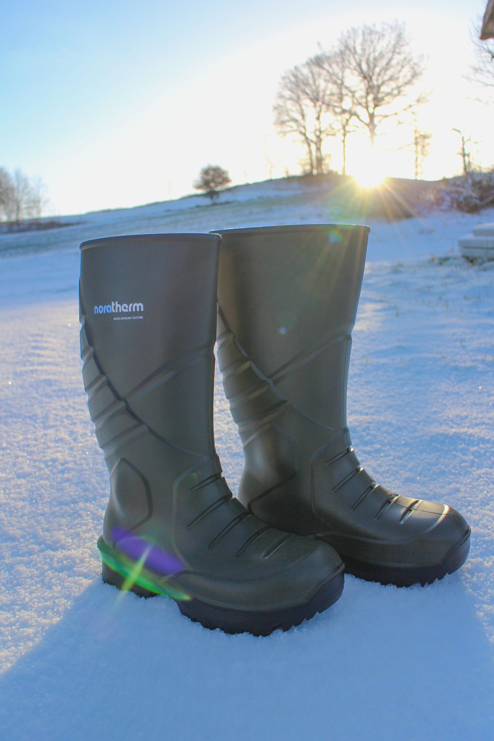 Nora THERM S5 NORA PU-Thermo-Sicherheitsstiefel mit günstig online kaufen