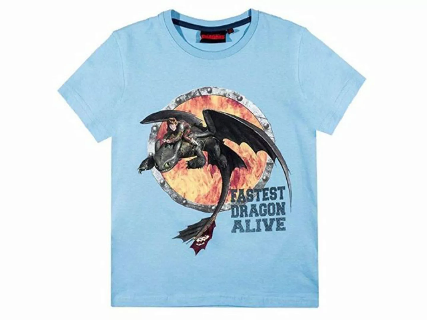 Dragons T-Shirt Dragons "Drachenzähmen leicht gemacht" T-Shirt günstig online kaufen