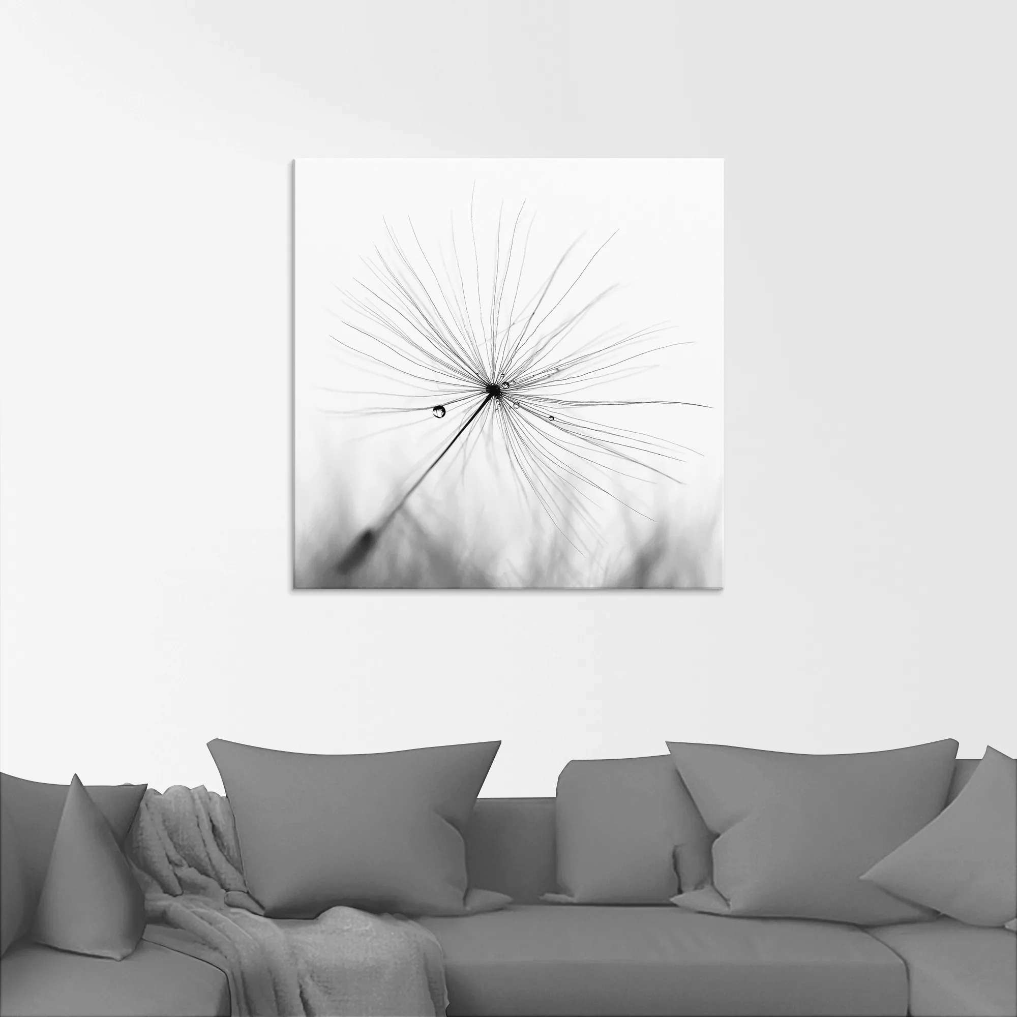 Artland Glasbild "Pusteblume Schirmchen", Blumen, (1 St.), in verschiedenen günstig online kaufen