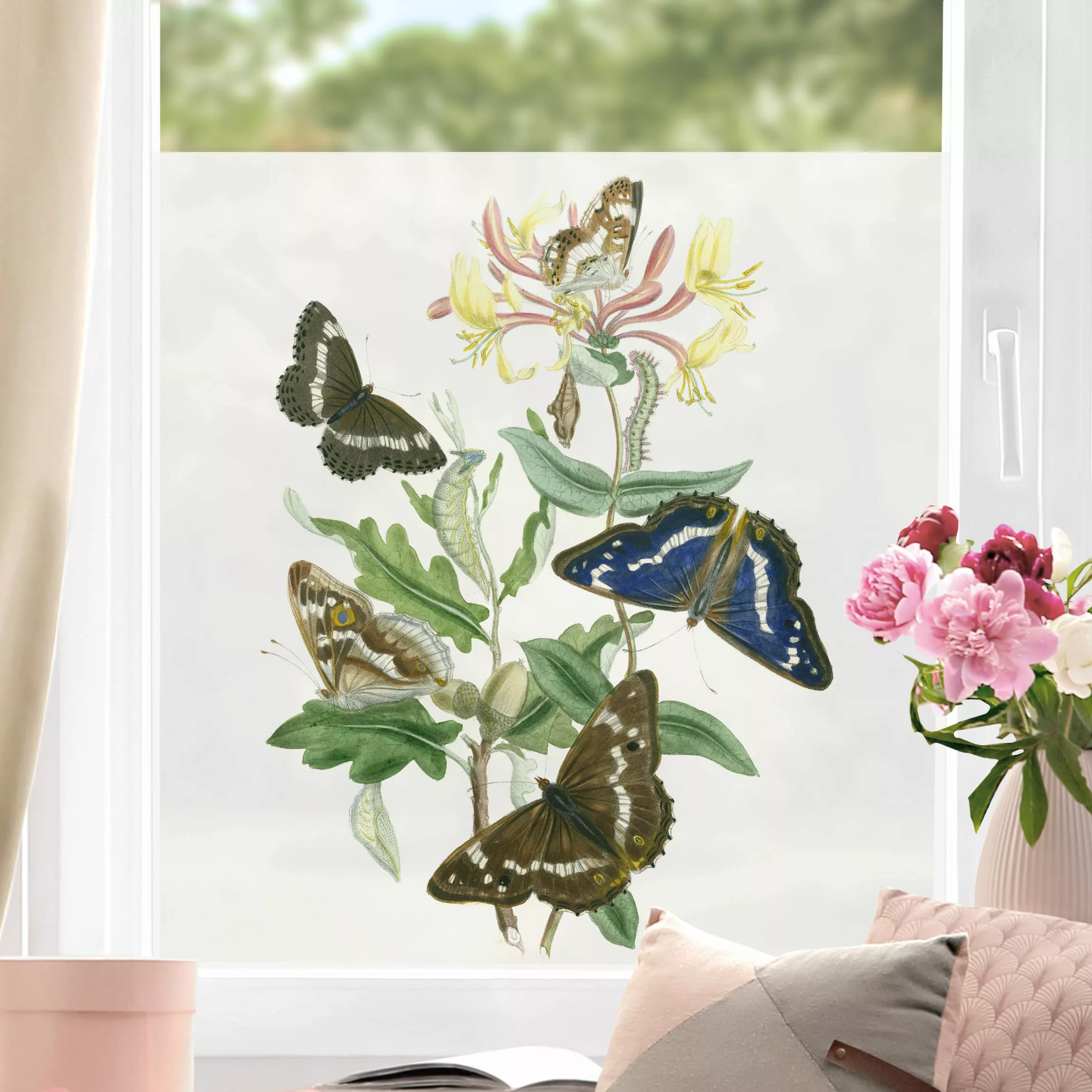 Fensterfolie Britische Schmetterlinge IV günstig online kaufen
