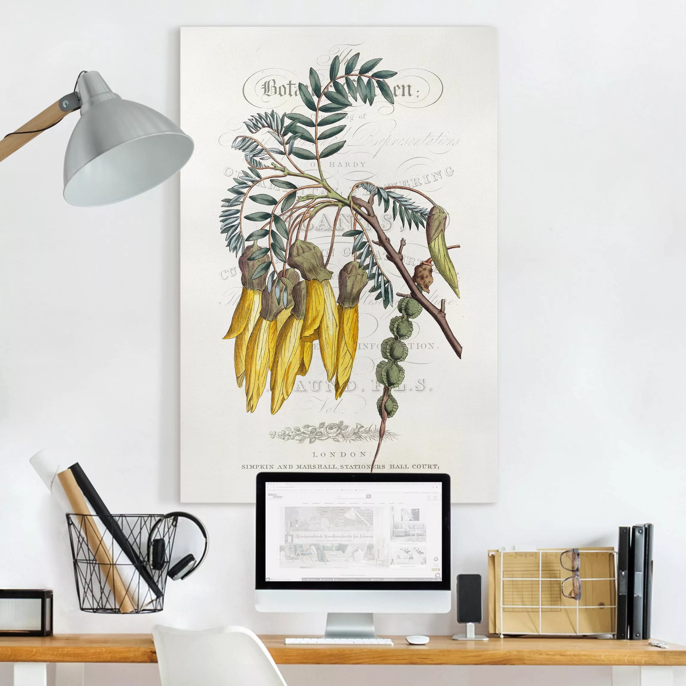 Leinwandbild Spruch - Hochformat Botanisches Tableau - Schnurbaum günstig online kaufen