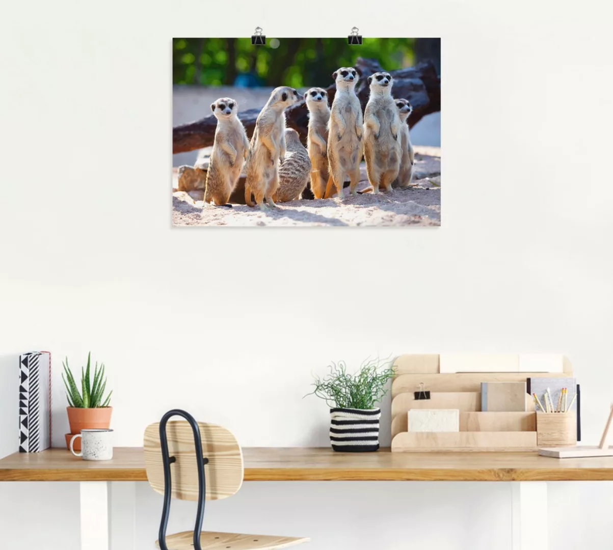 Artland Wandbild "Erdmännchenfamilie", Wildtiere, (1 St.), als Poster, Wand günstig online kaufen