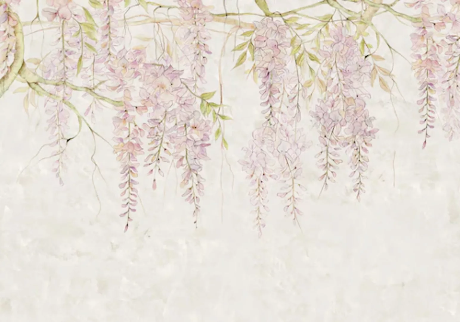 Komar Fototapete Vlies Wisteria  400 x 280 cm günstig online kaufen