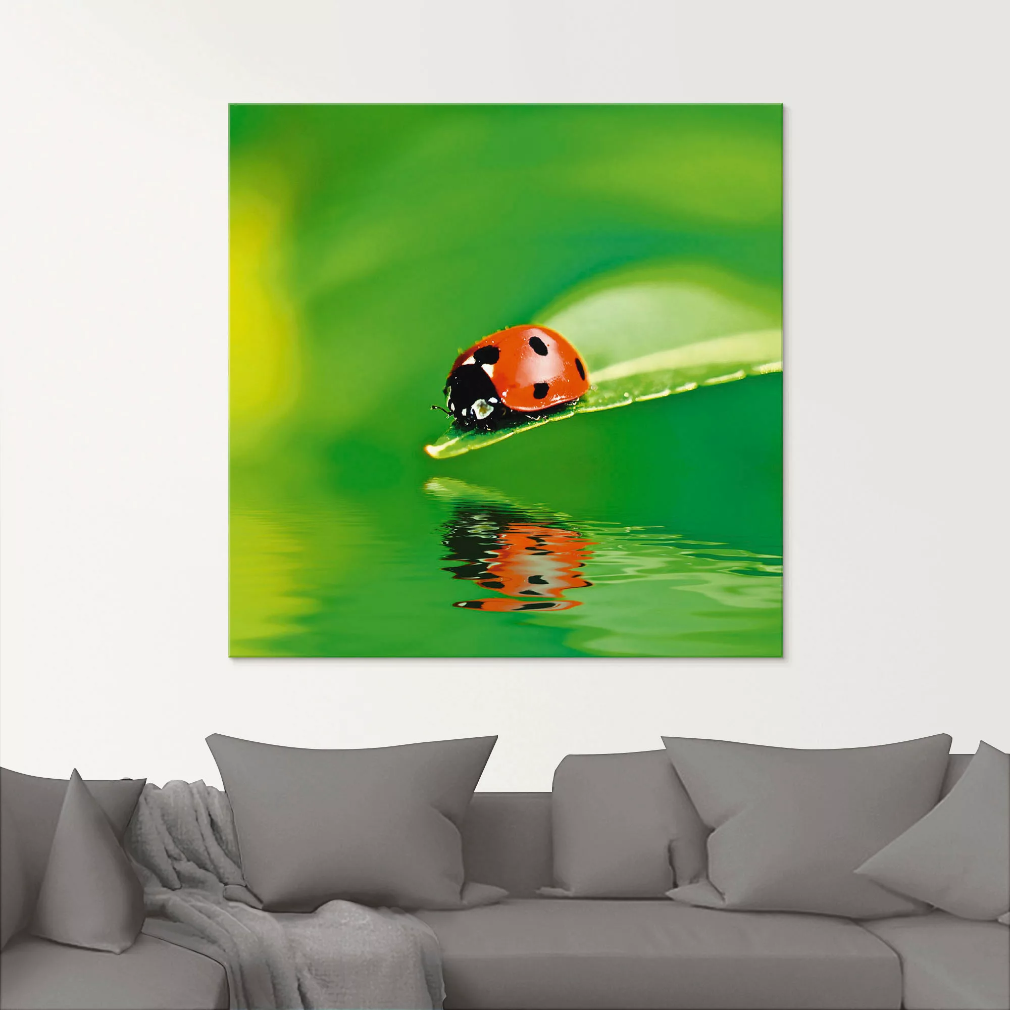 Artland Glasbild "Marienkäfer auf einem Blatt", Insekten, (1 St.), in versc günstig online kaufen