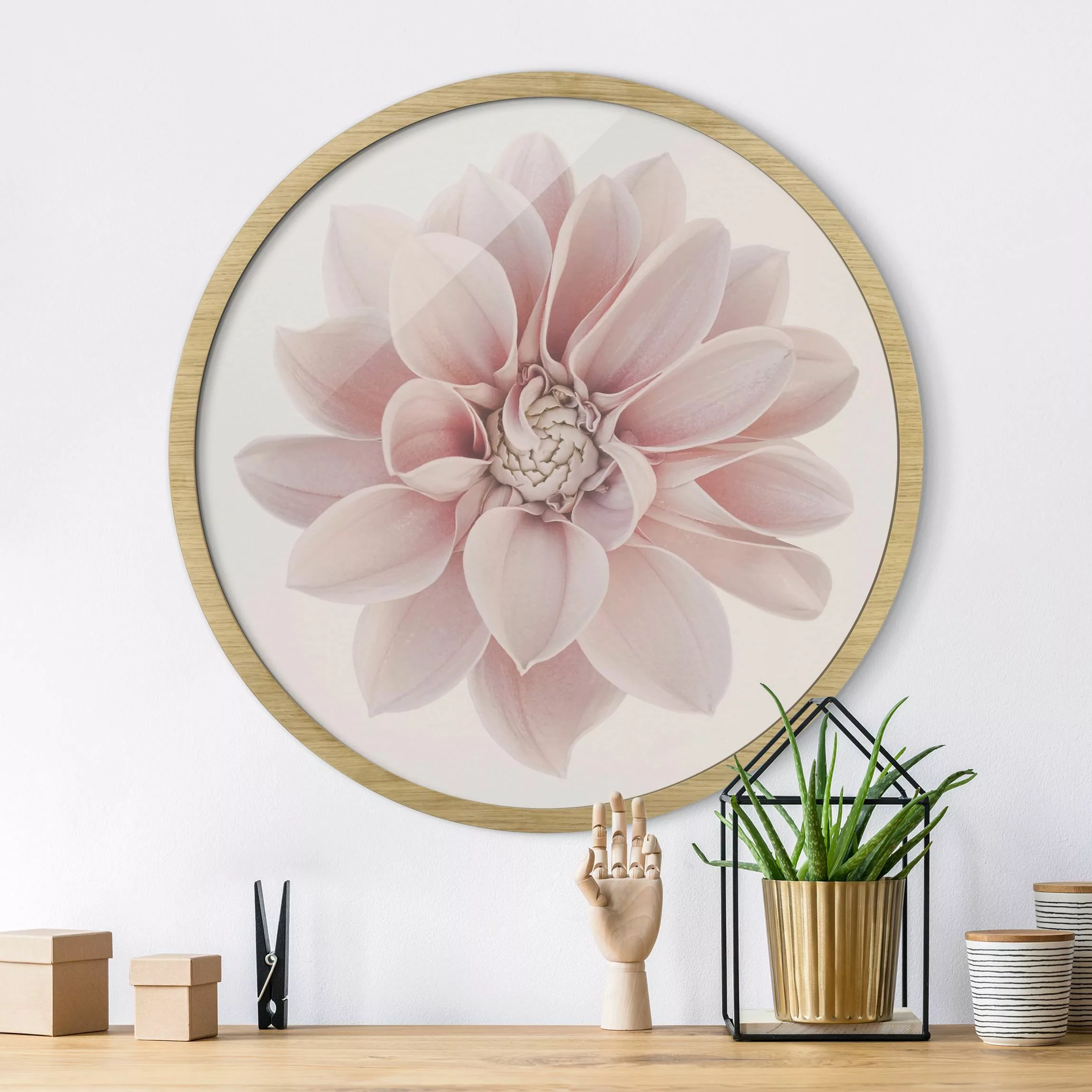 Rundes Gerahmtes Bild Dahlie Blume Pastell Weiß Rosa günstig online kaufen